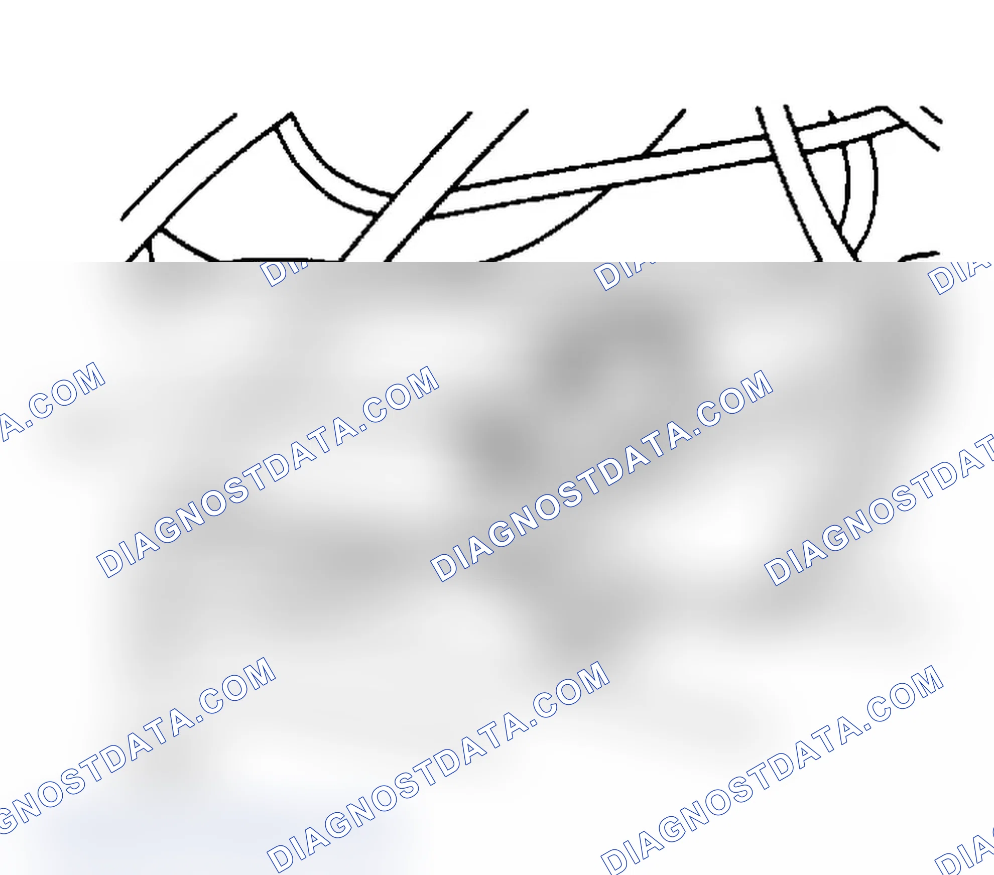 Scheme 1: Quantum (Front) - Vehicles With Two Adjustable Tie Rods