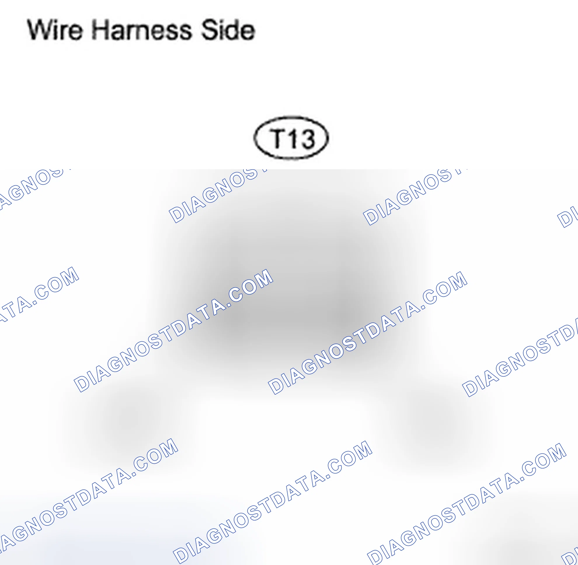 Scheme 106: INSPECTION PROCEDURE