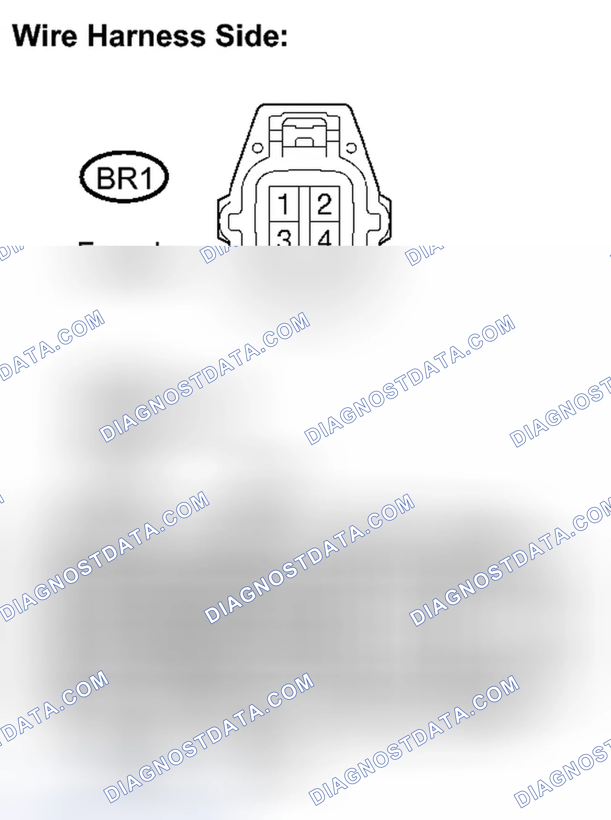 Scheme 507