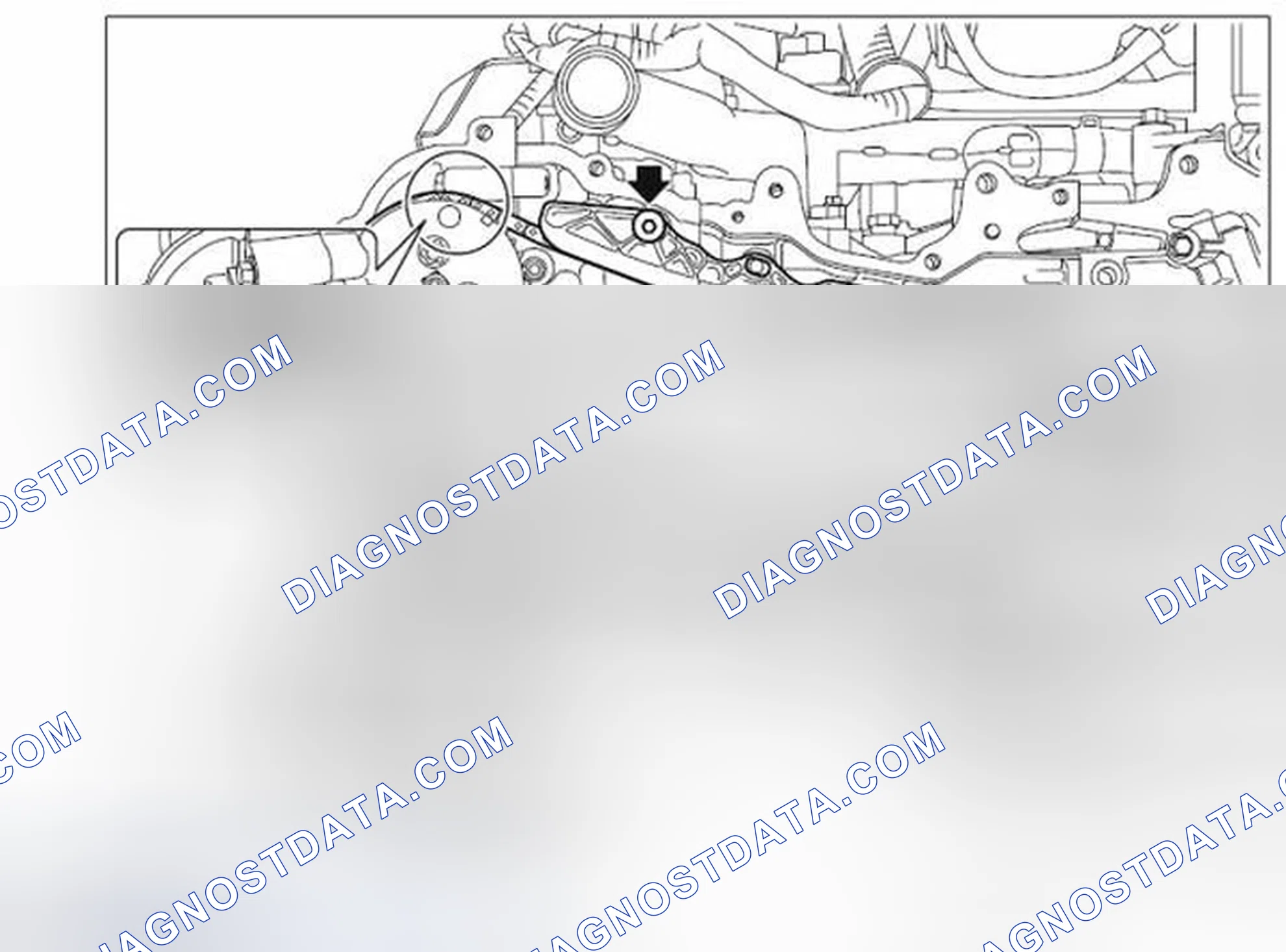 Scheme 239