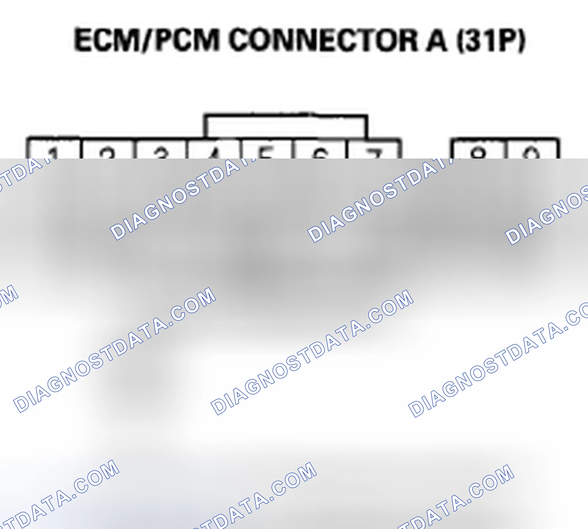 Scheme 371