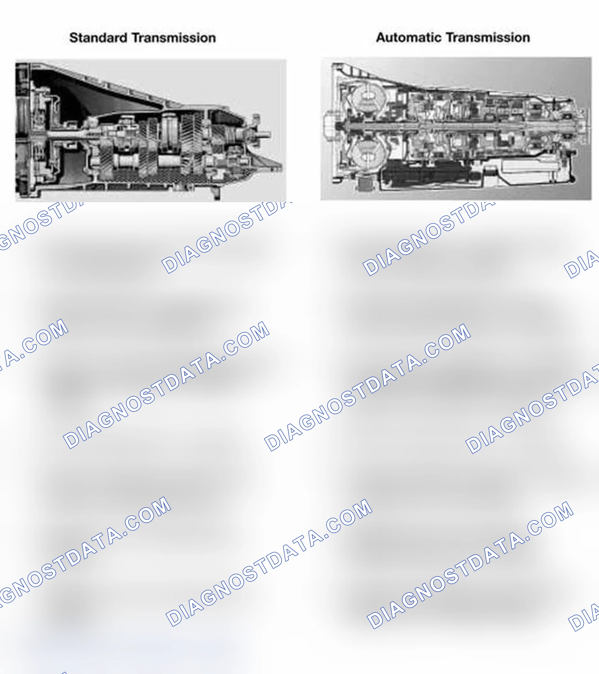 Scheme 1: STANDARD/AUTOMATIC TRANSMISSION