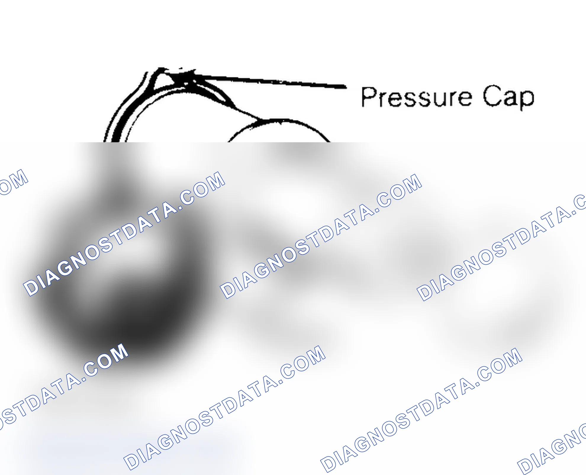 Scheme 2: Pressure Testing Radiator Cap
