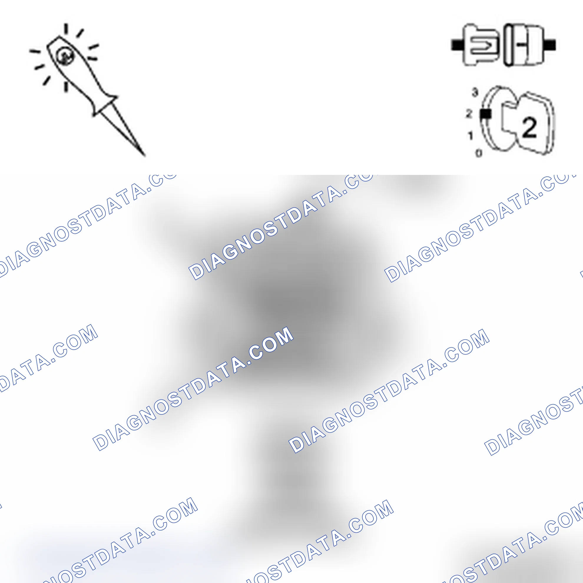 Scheme 15: Diagnostic Test