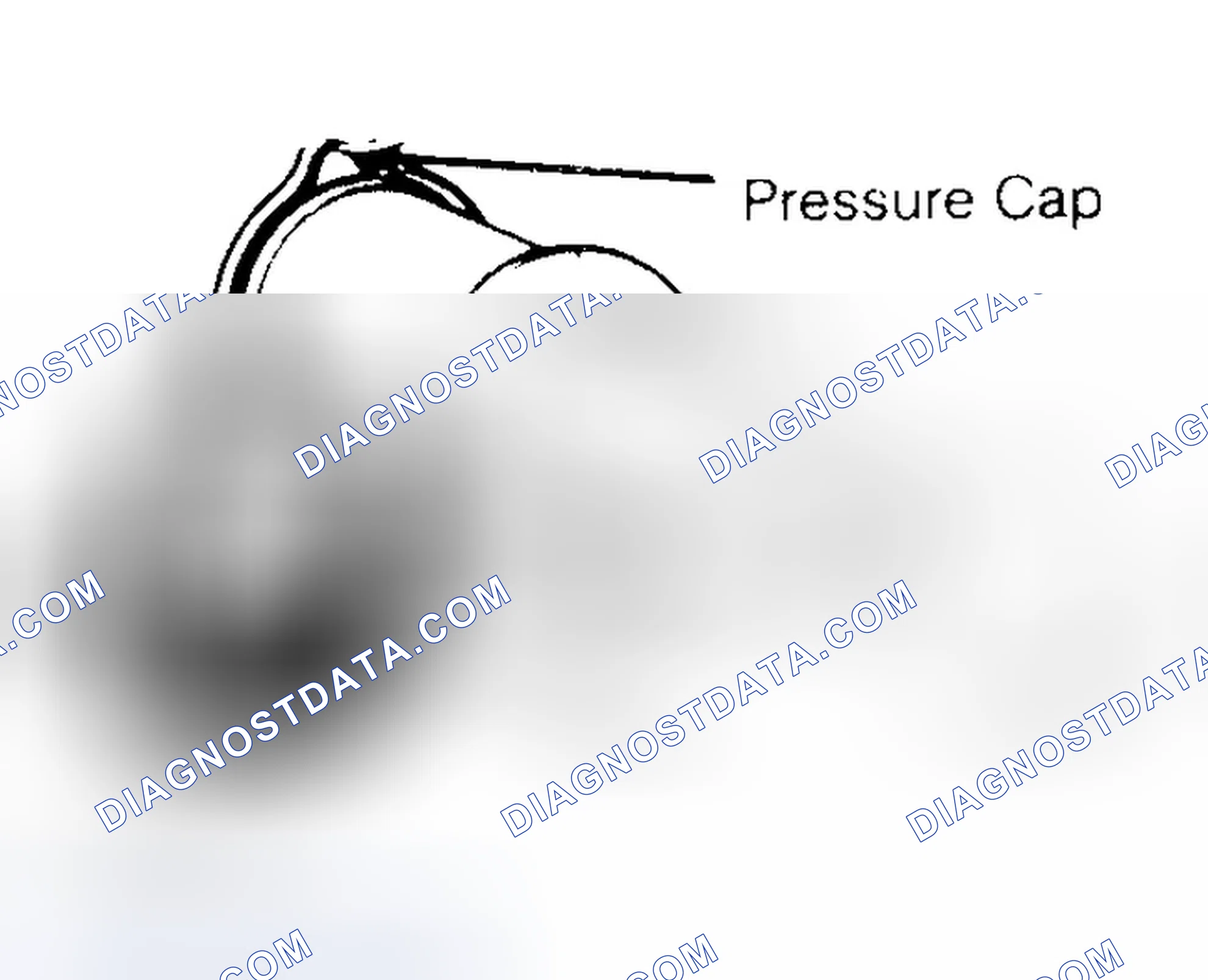 Scheme 2: Pressure Testing Radiator Cap