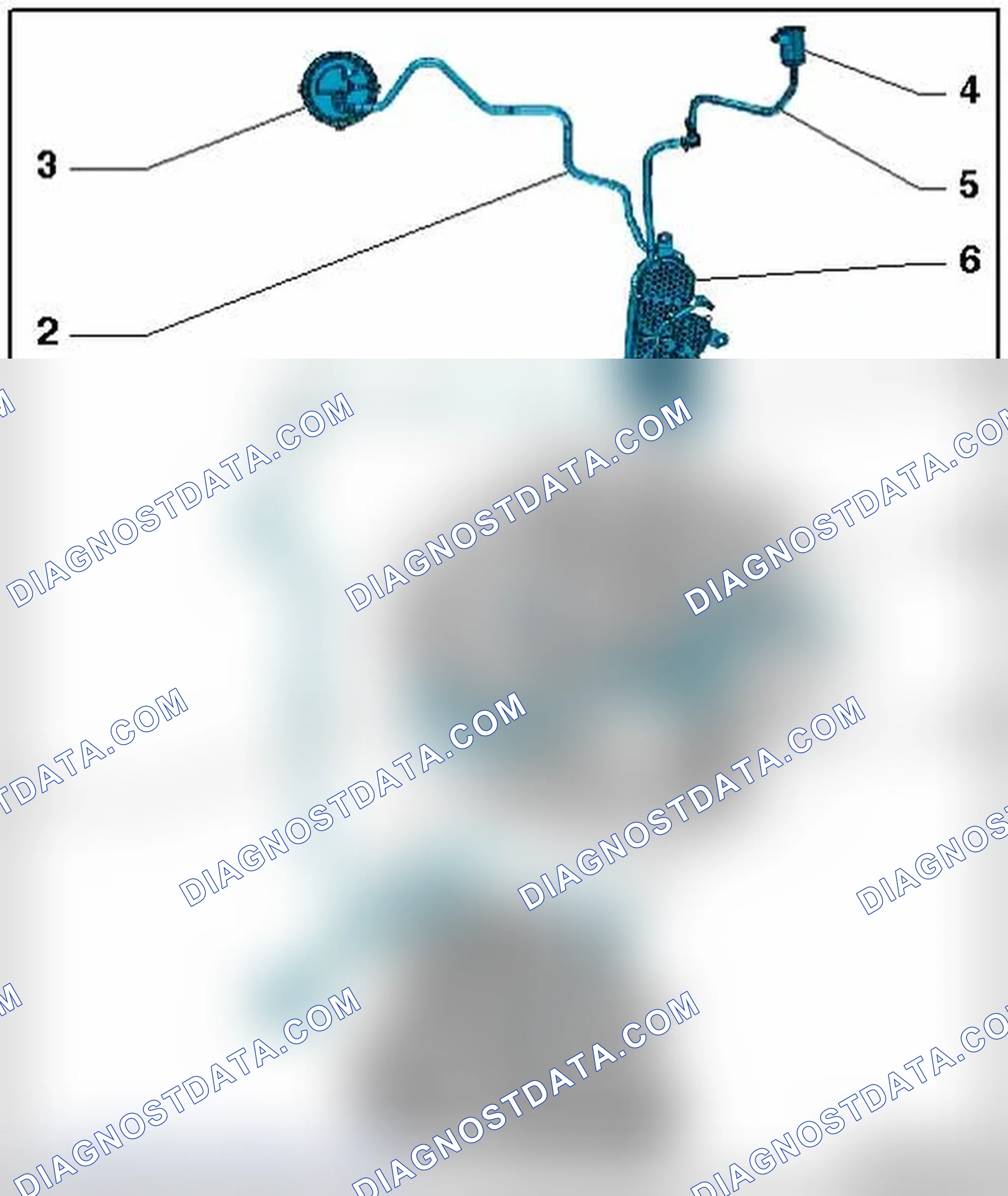 Scheme 11: EVAP CANISTER AND LEAK DETECTION SYSTEM HOSE DIAGRAM - ENGINE CODE(S): CAEB & CPMA