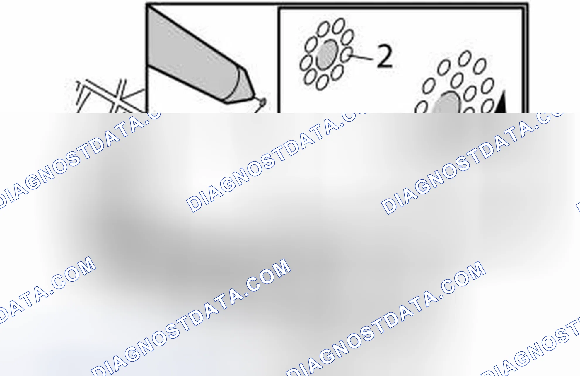 Scheme 893