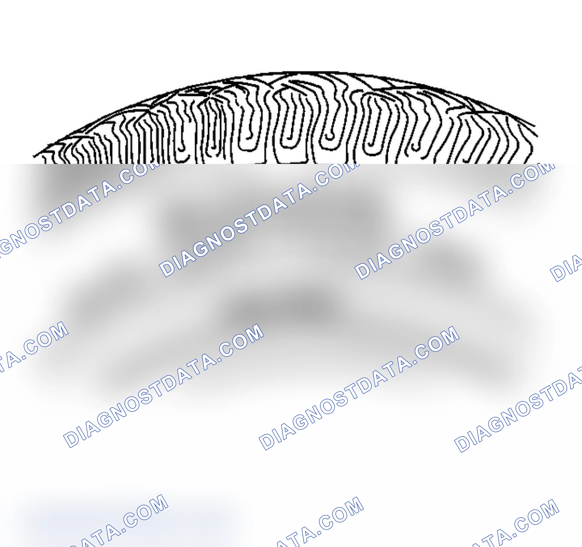 Scheme 2: Tire and Wheel Inspection