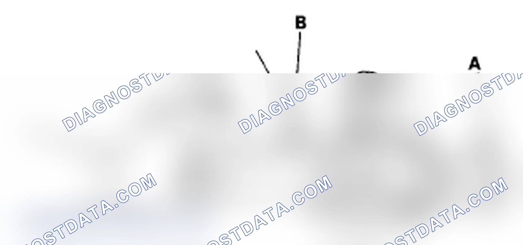 Scheme 2: Radiator Cap Test