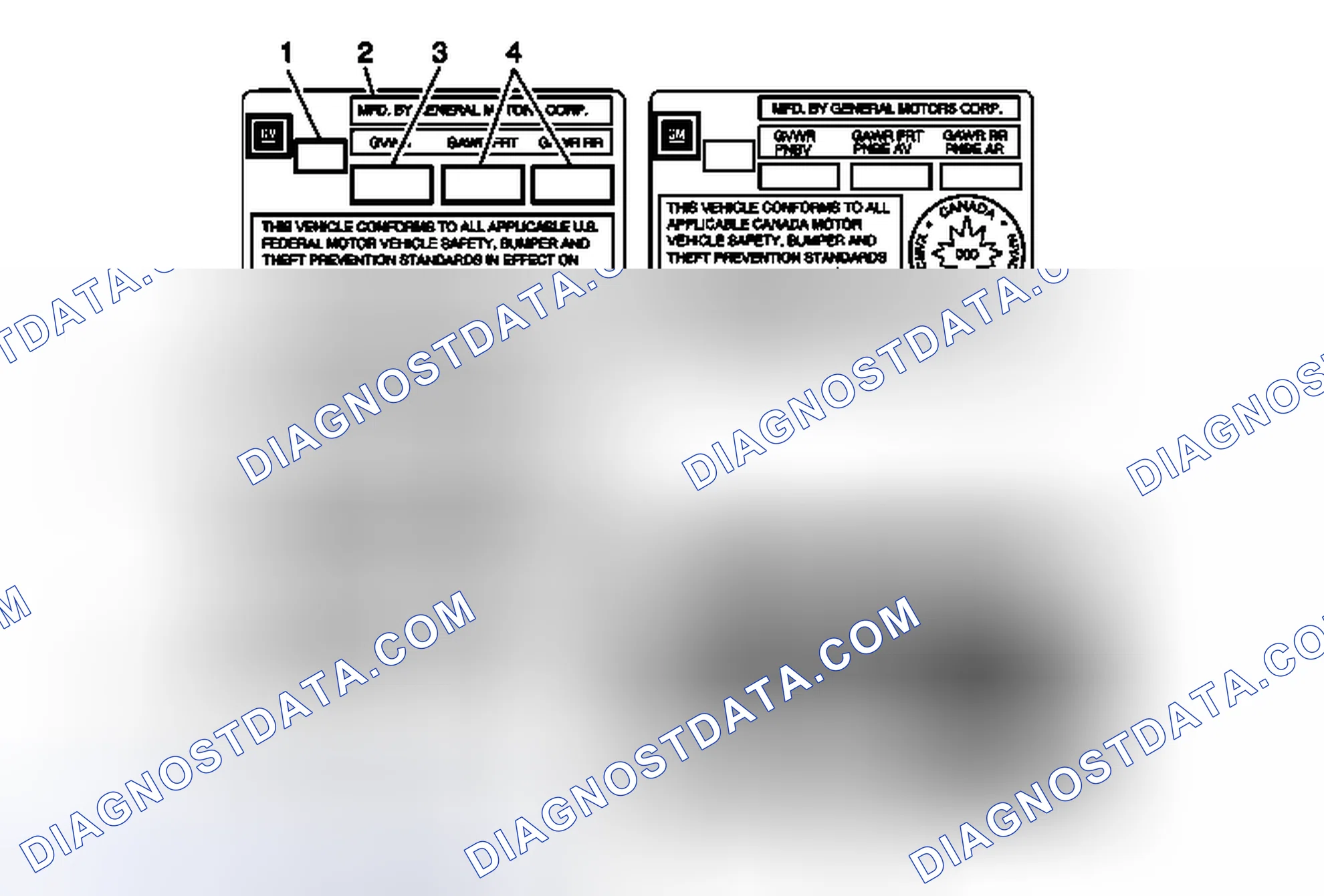 Scheme 4: Vehicle Certification, Tire Placard, Anti-Theft, and Service Parts ID Label