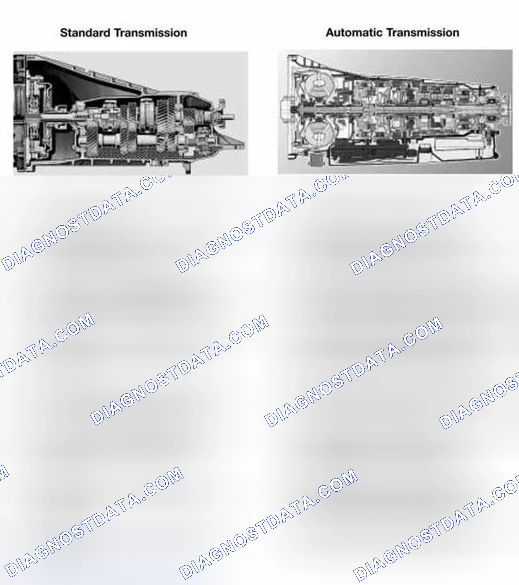 Scheme 6: STANDARD/AUTOMATIC TRANSMISSION