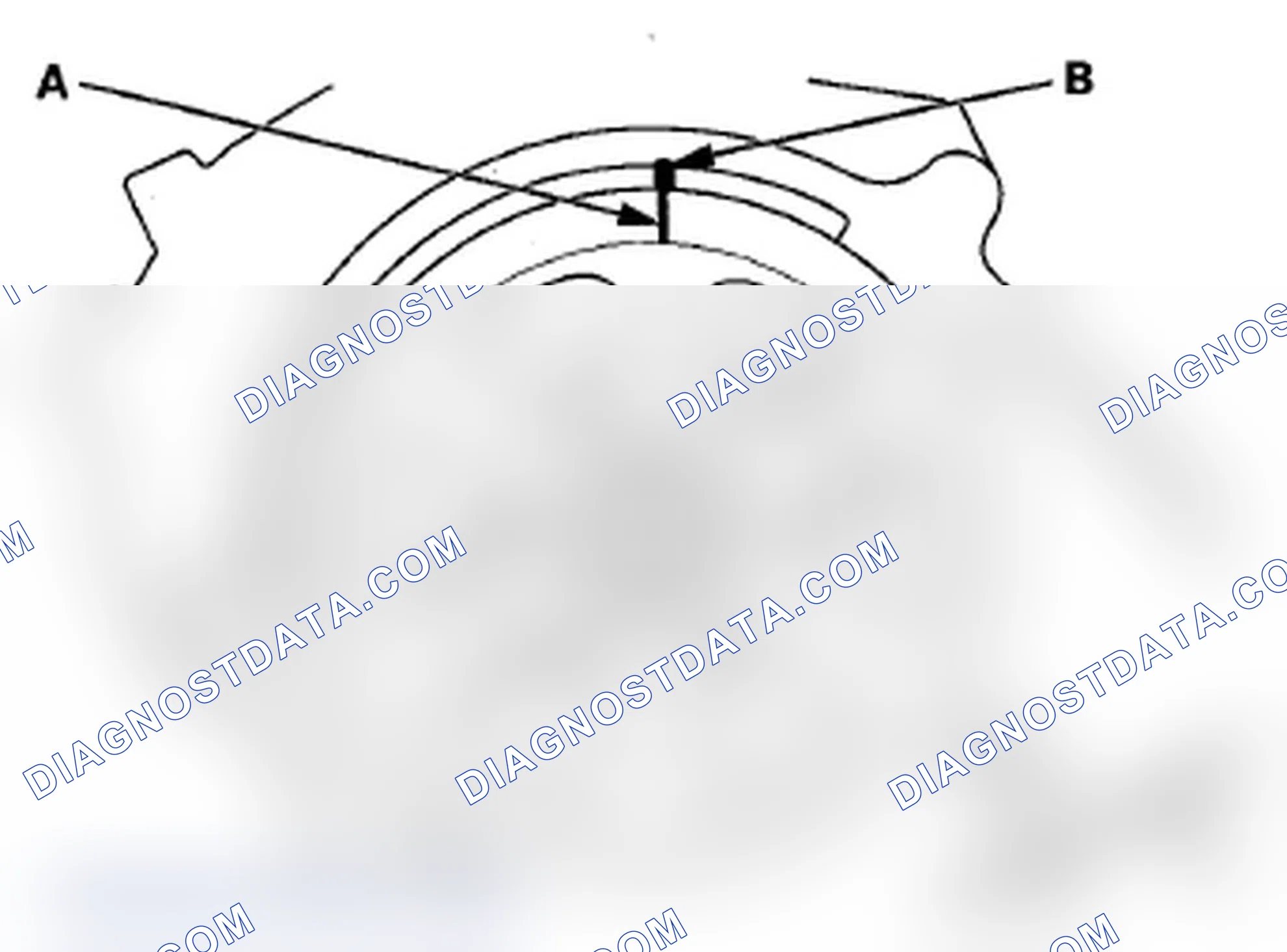 Scheme 184