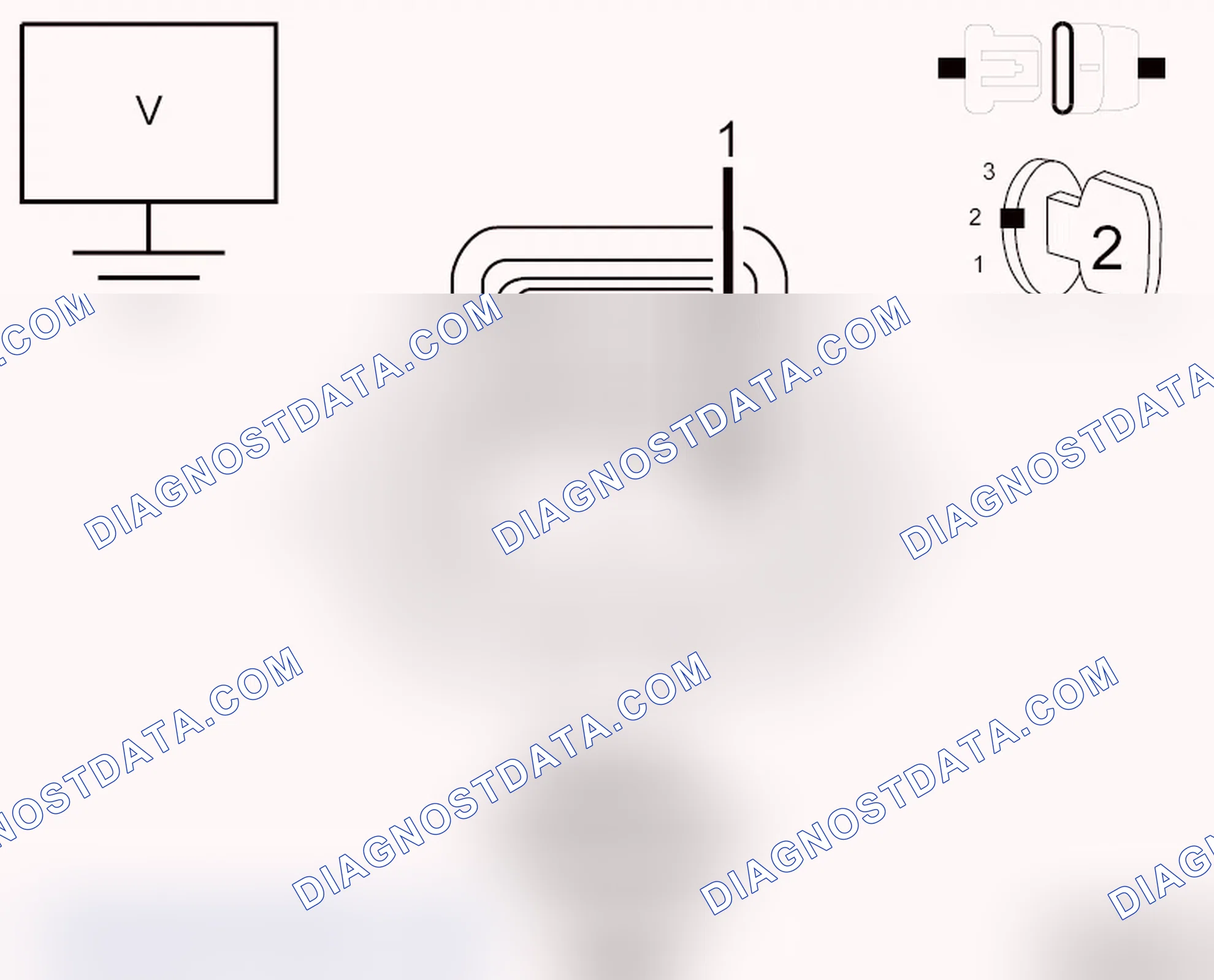 Scheme 13: DIAGNOSTIC TEST