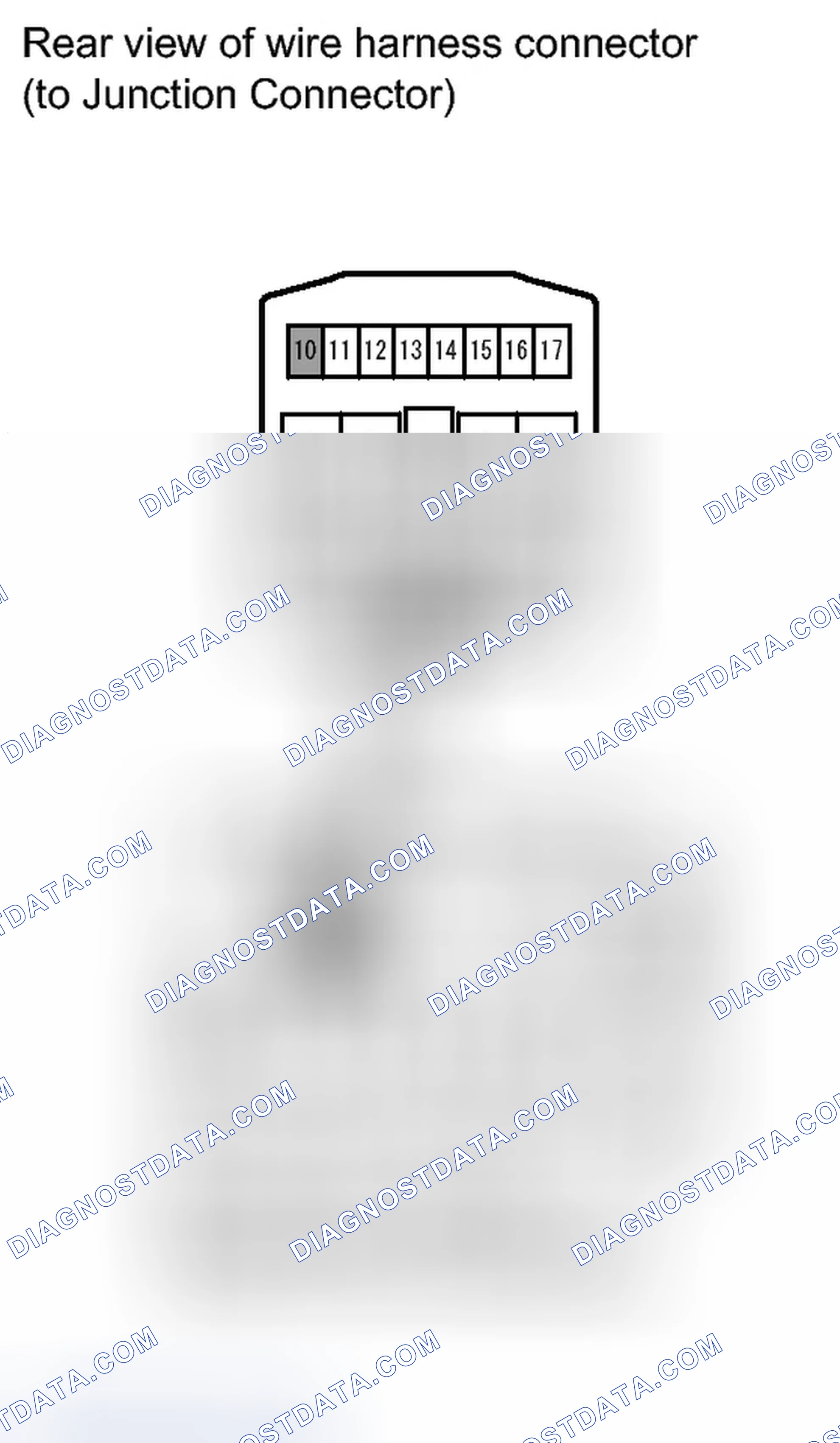 Scheme 337
