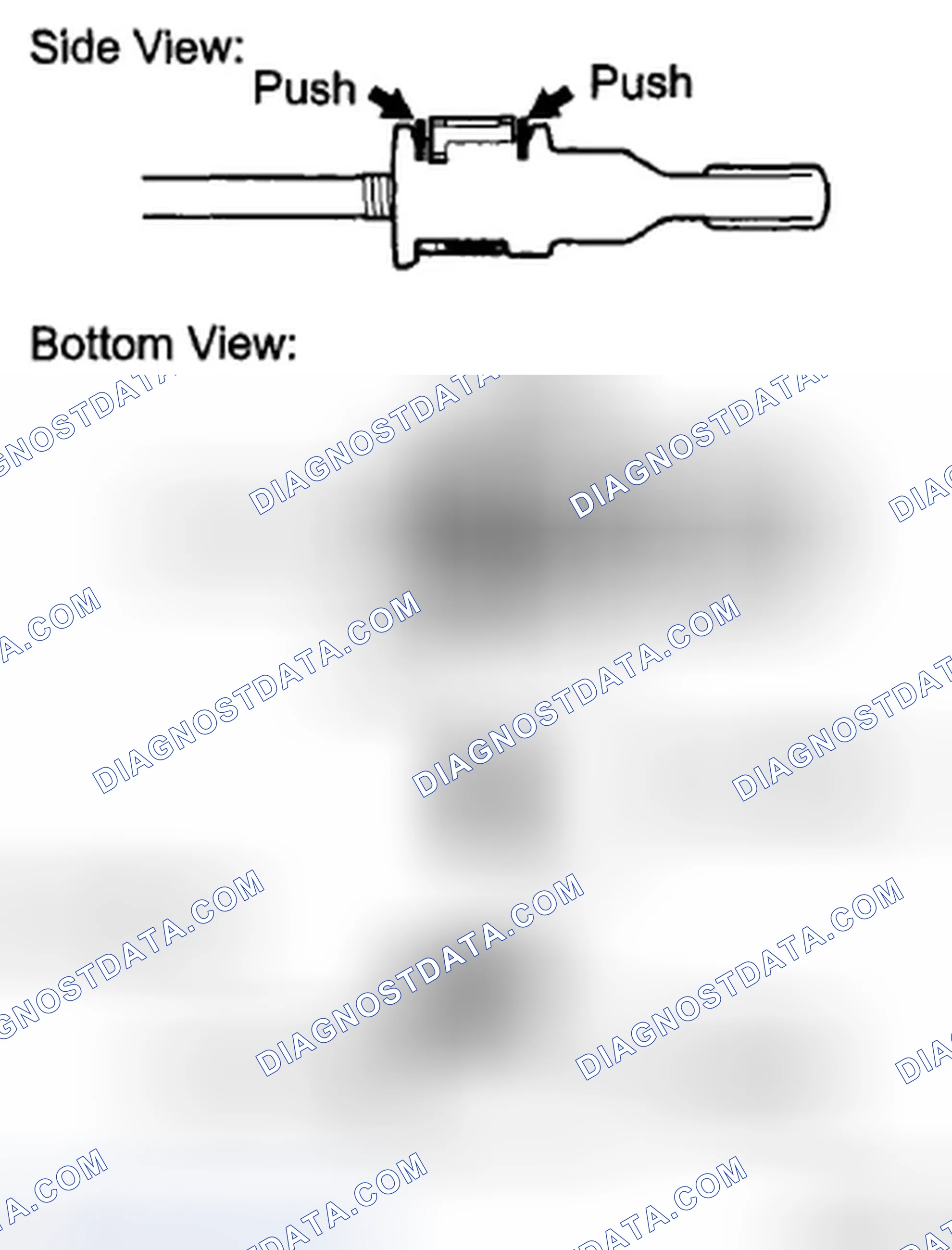 Scheme 309