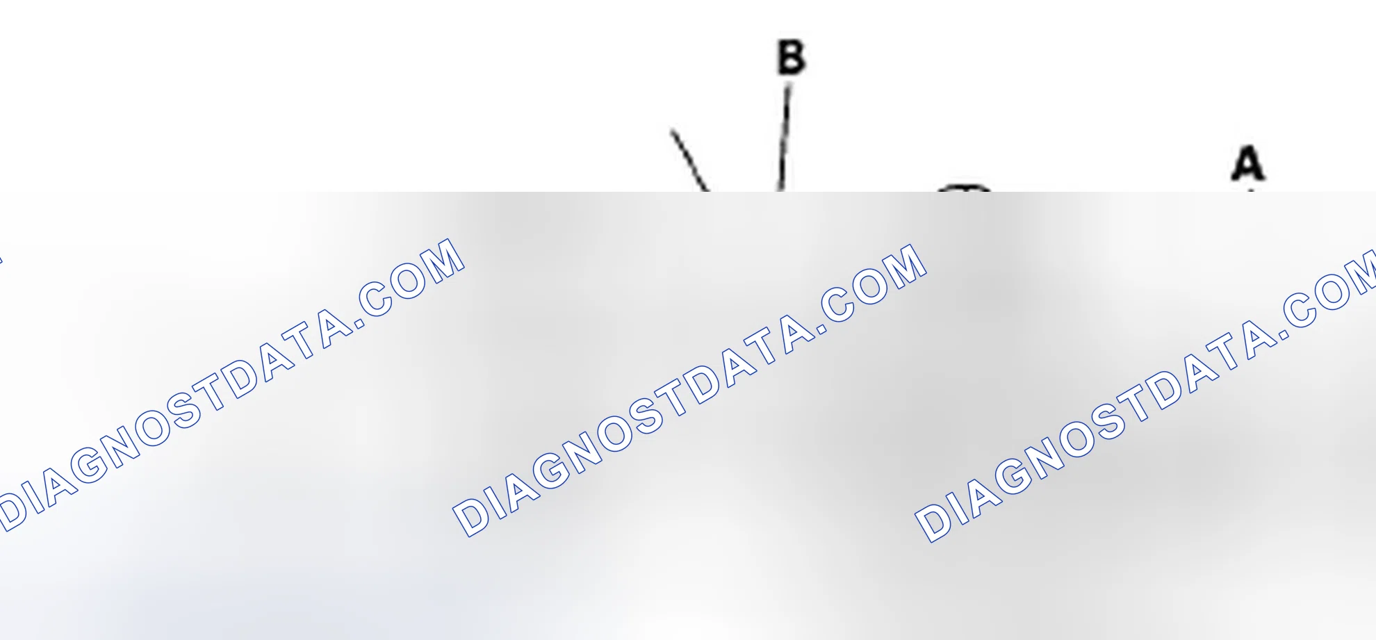 Scheme 2: Radiator Cap Test