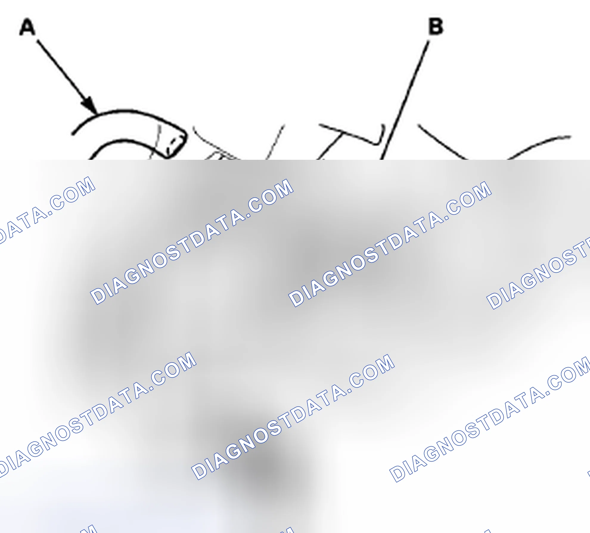 Scheme 74