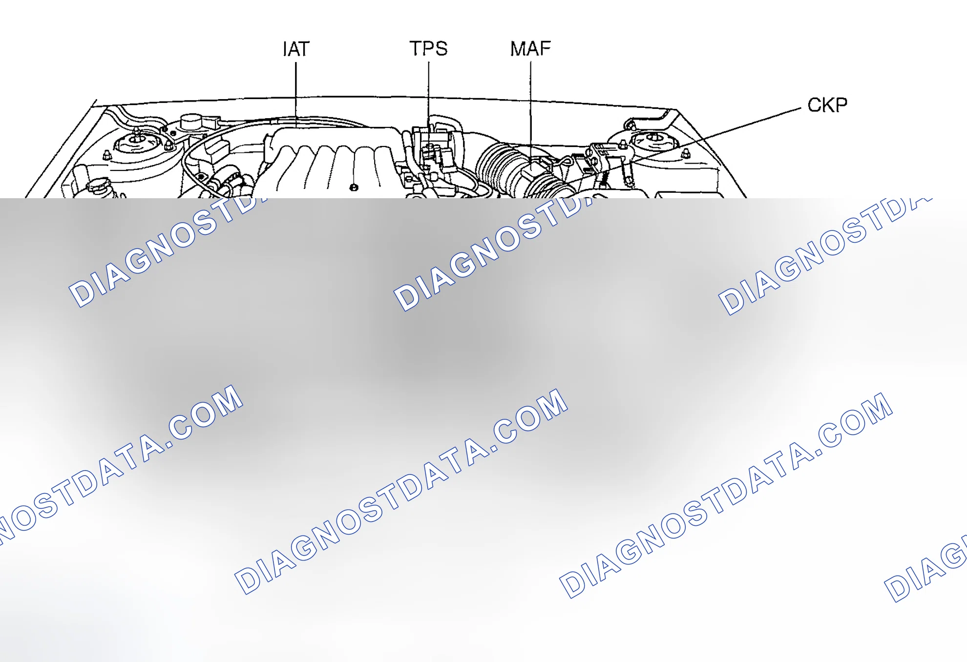 Scheme 7