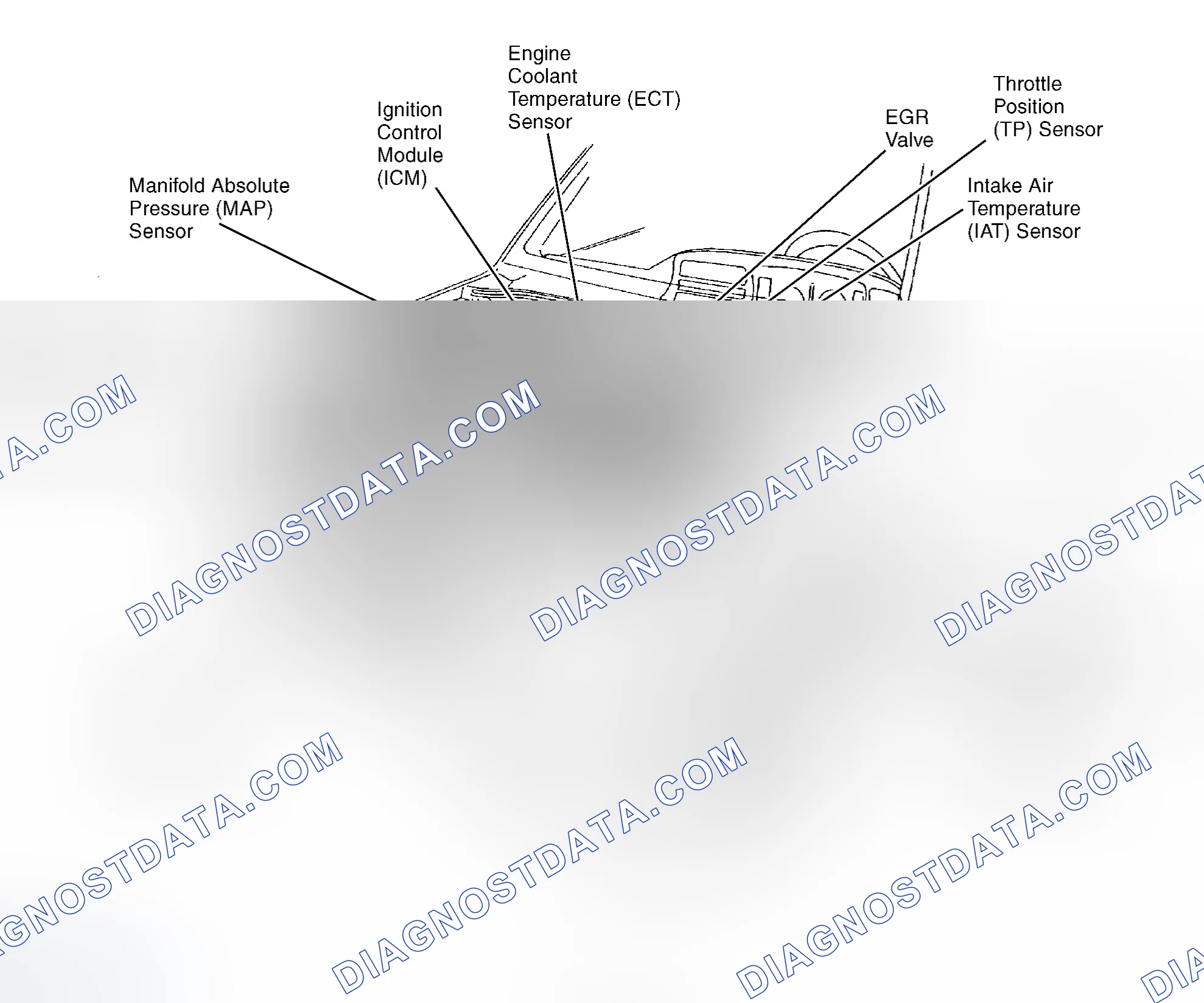 Scheme 4: Engine Compartment (3.2L 1996)