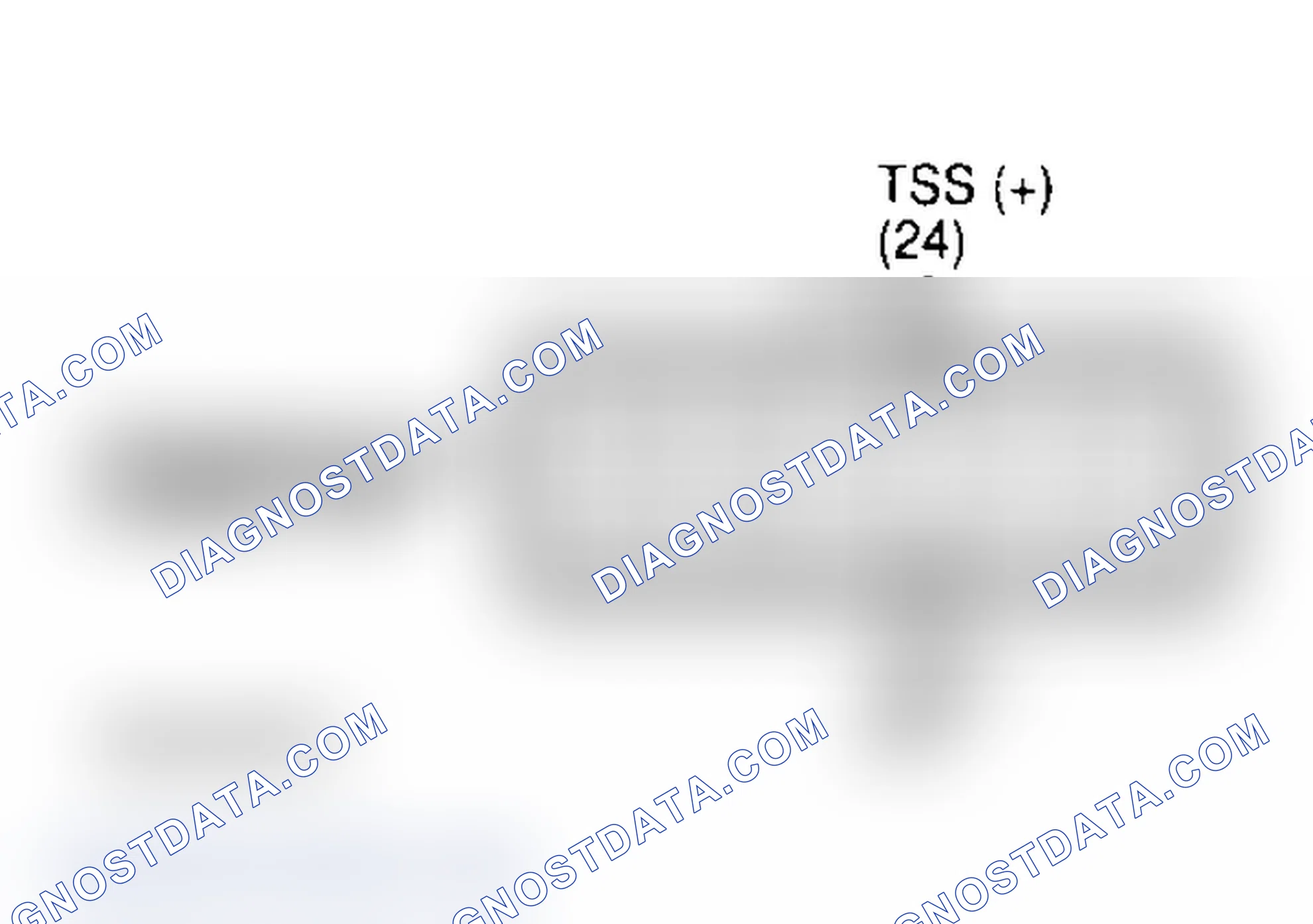 Scheme 61: Transmission 12-Pin Connector Terminal ID (Bronco)