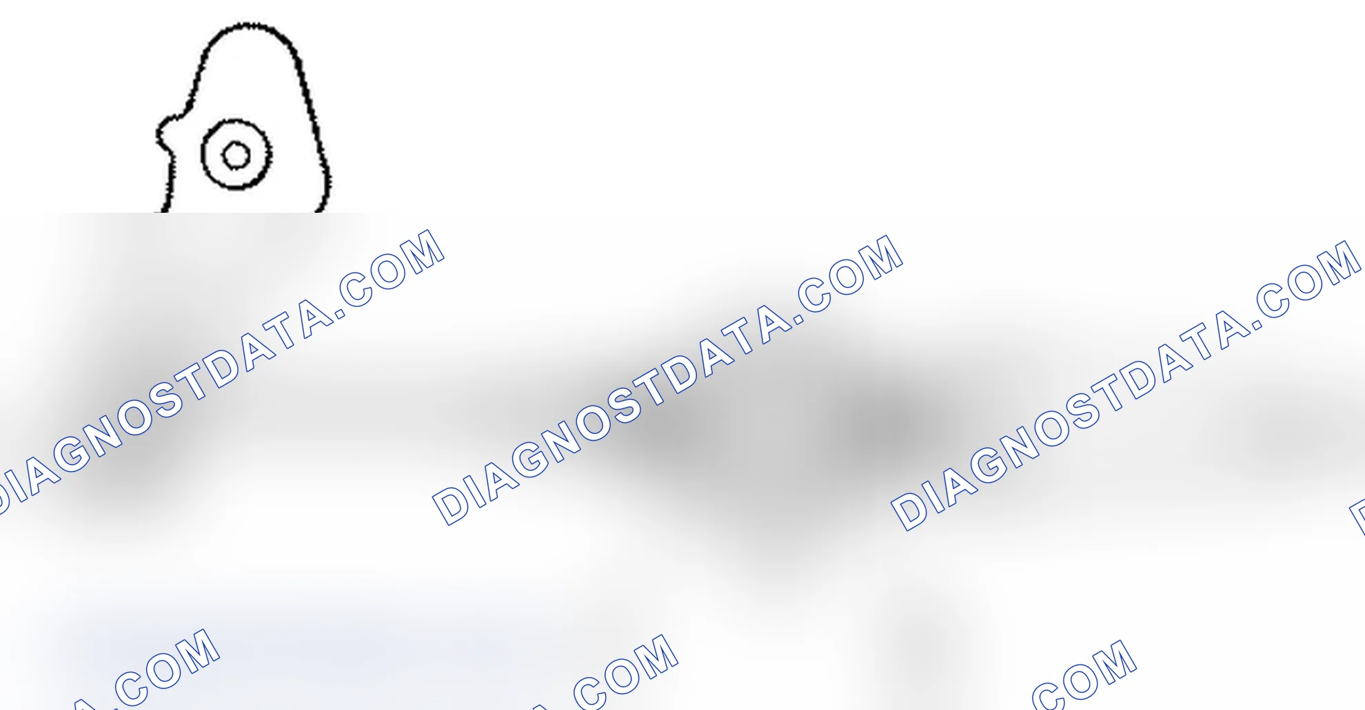 Accelerator Cable Adjust