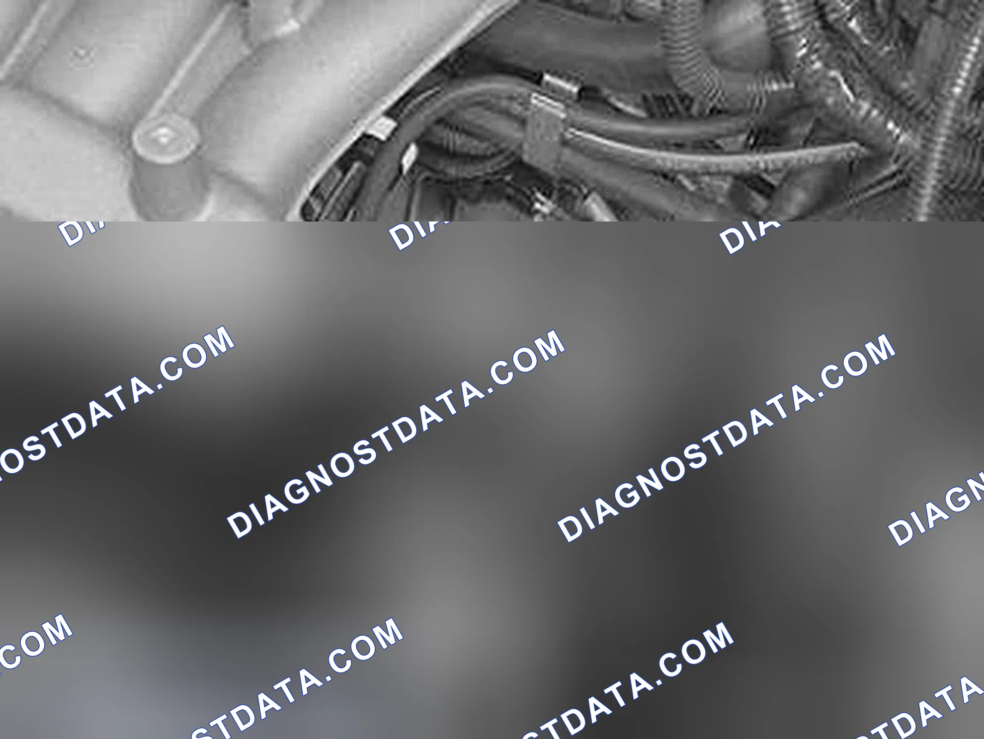Scheme 305: Installing the crankshaft adjustment tool