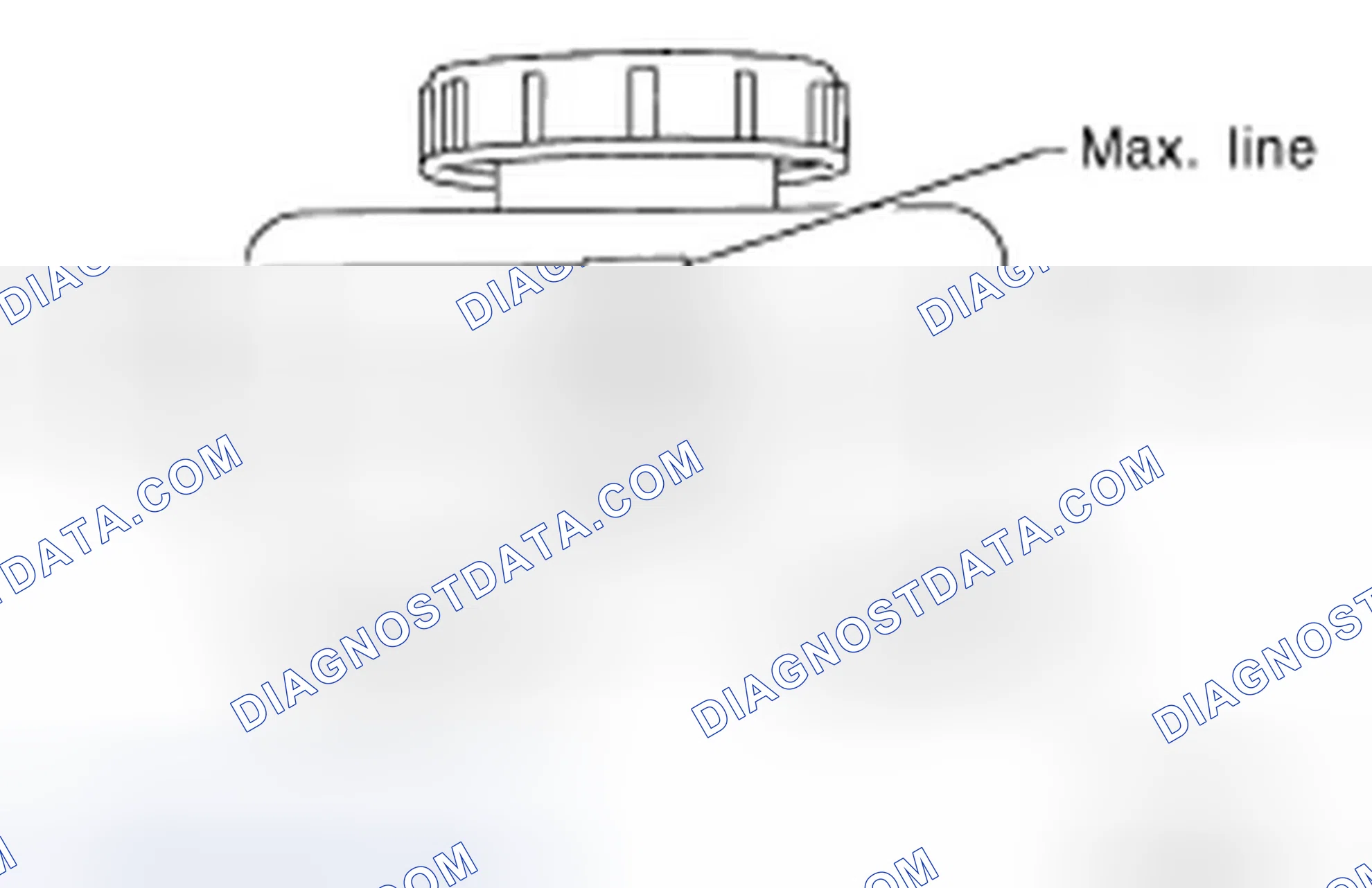 Scheme 44: Checking Brake Fluid Level and Leaks
