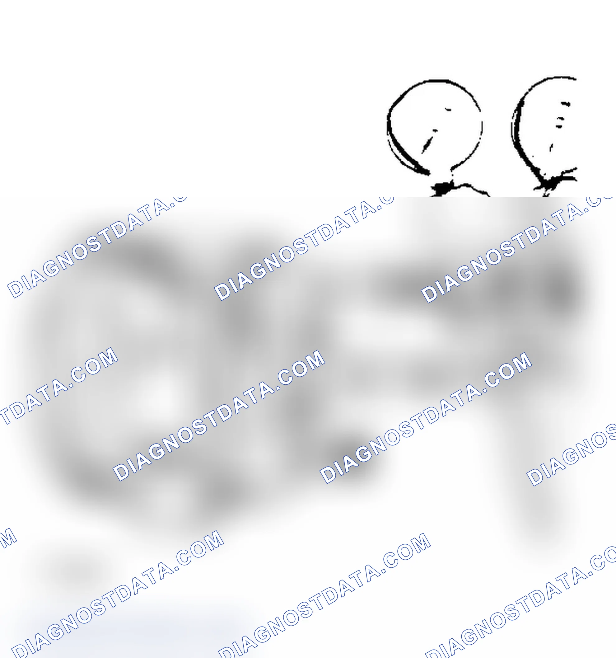 Scheme 24: Leak Test Seal