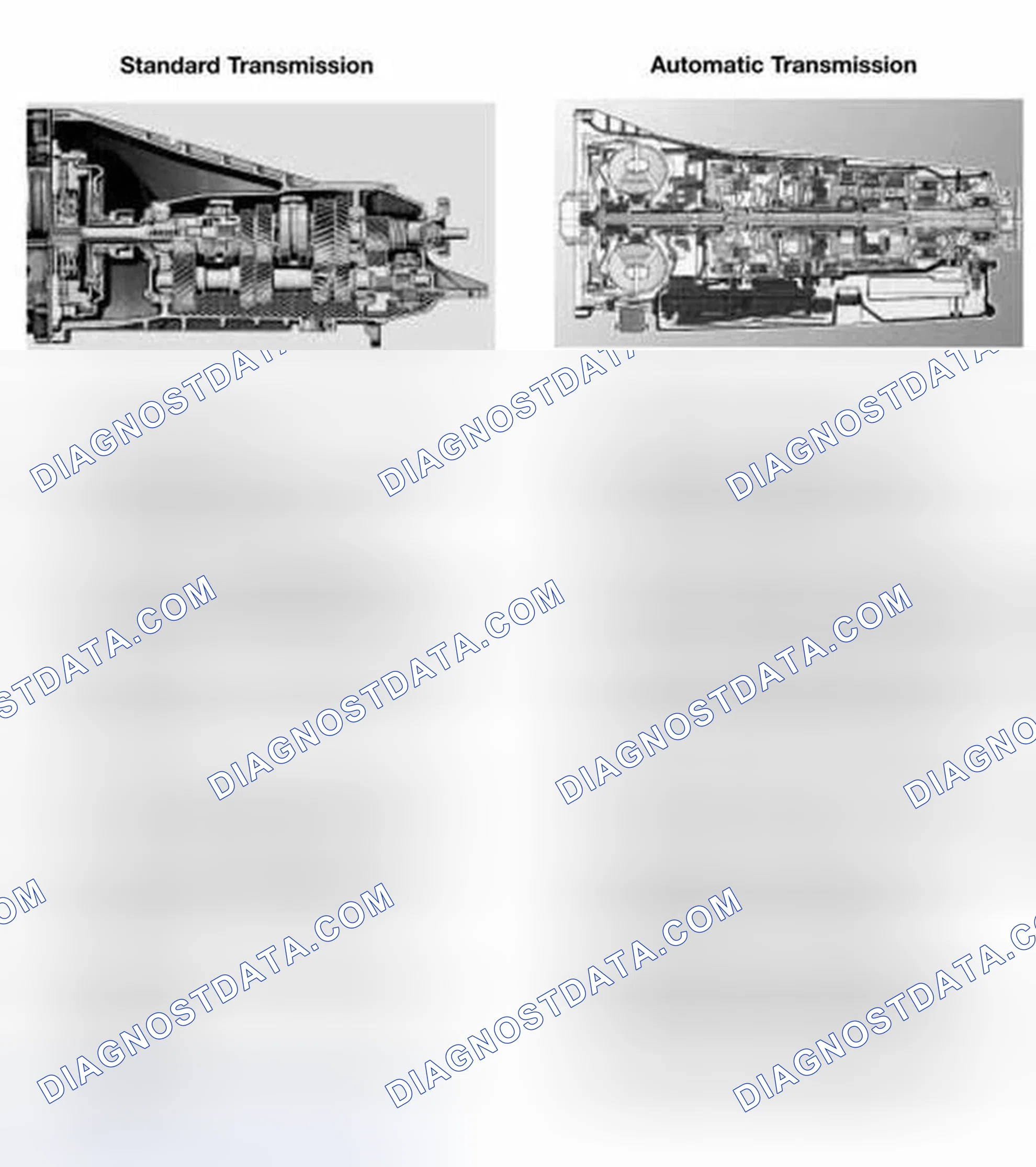 Scheme 6: STANDARD/AUTOMATIC TRANSMISSION