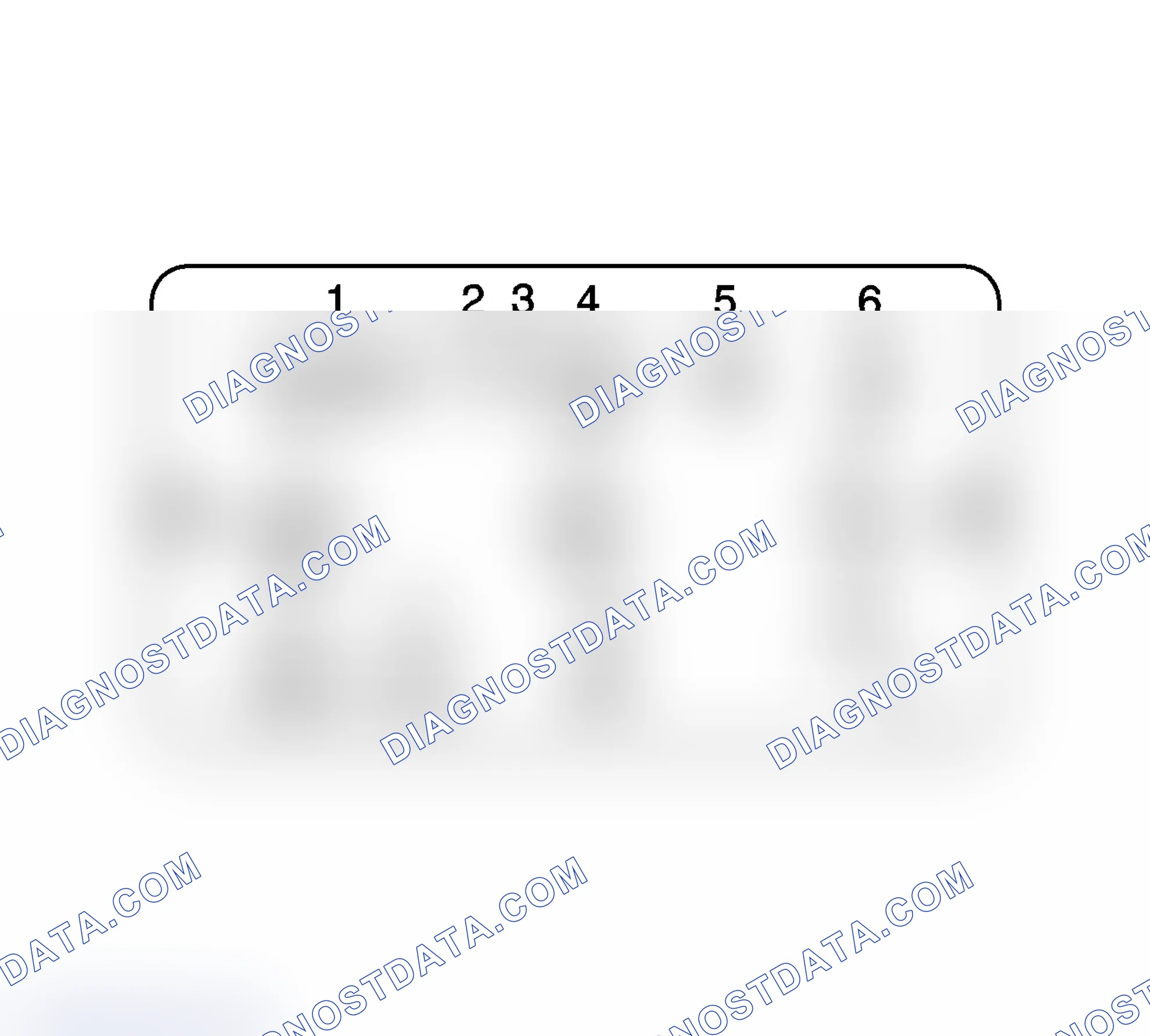 Scheme 18: Body Identification Number Plate