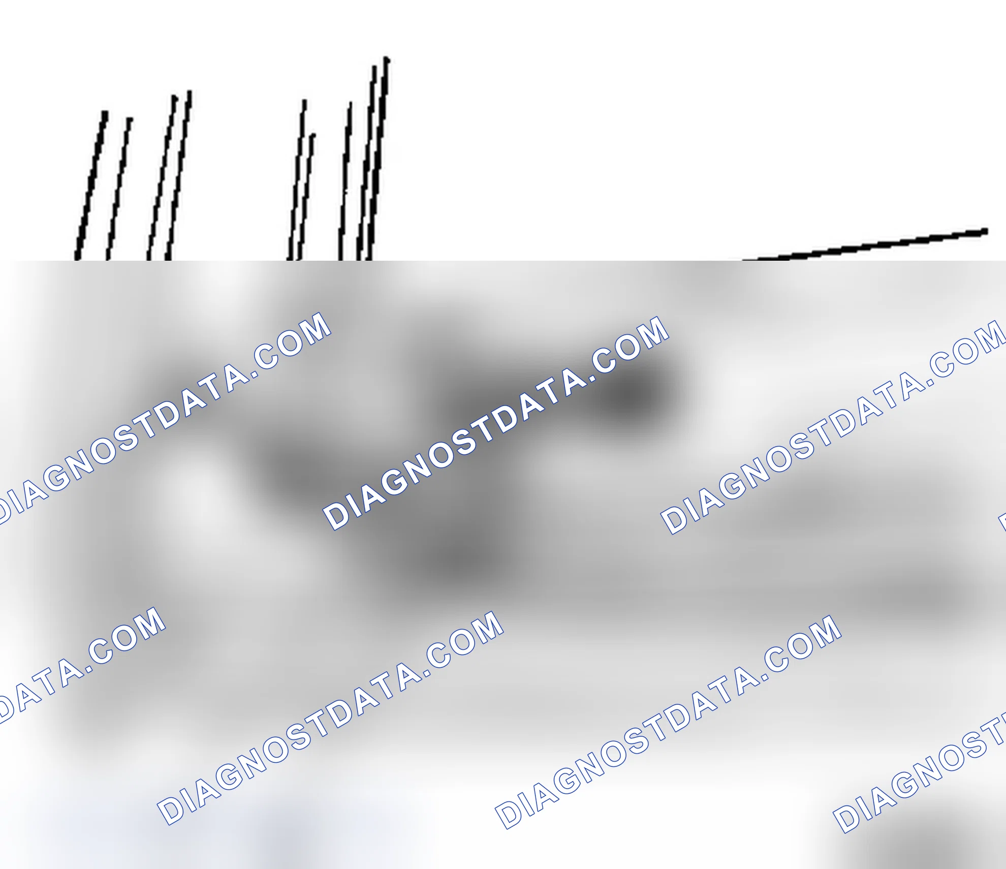 Cables (Both), Basic Adjustment