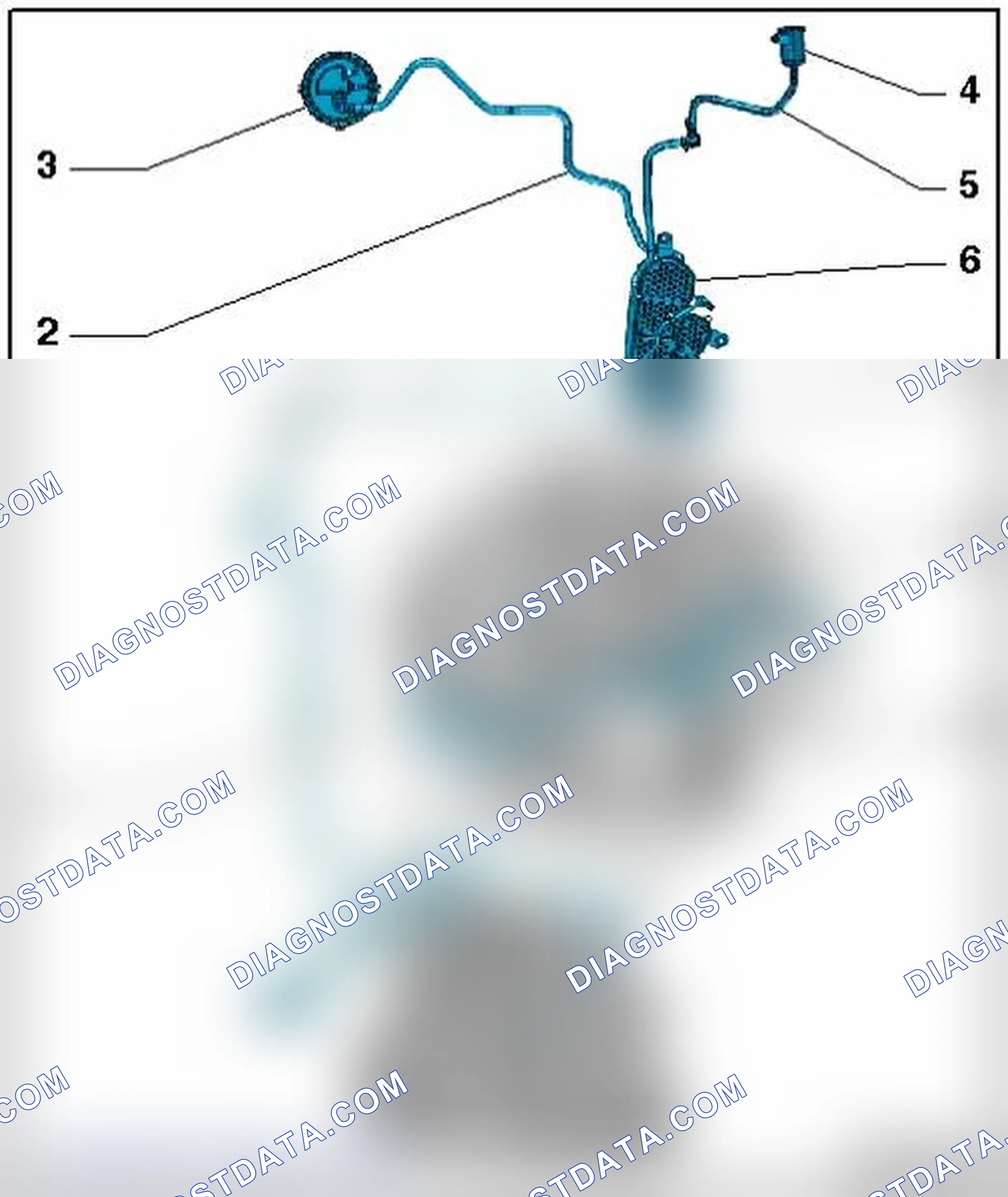 Scheme 11: EVAP CANISTER AND LEAK DETECTION SYSTEM HOSE DIAGRAM - ENGINE CODE(S): CAEB & CPMA
