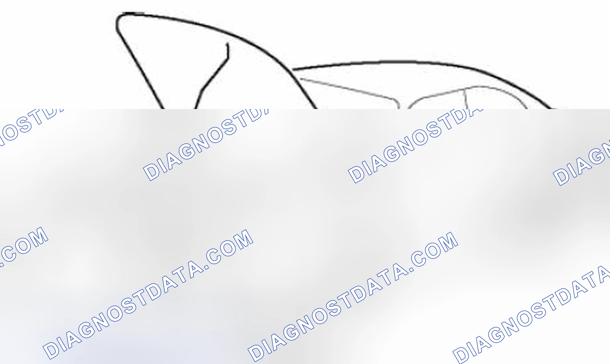 Scheme 27: Protection of the Vehicle