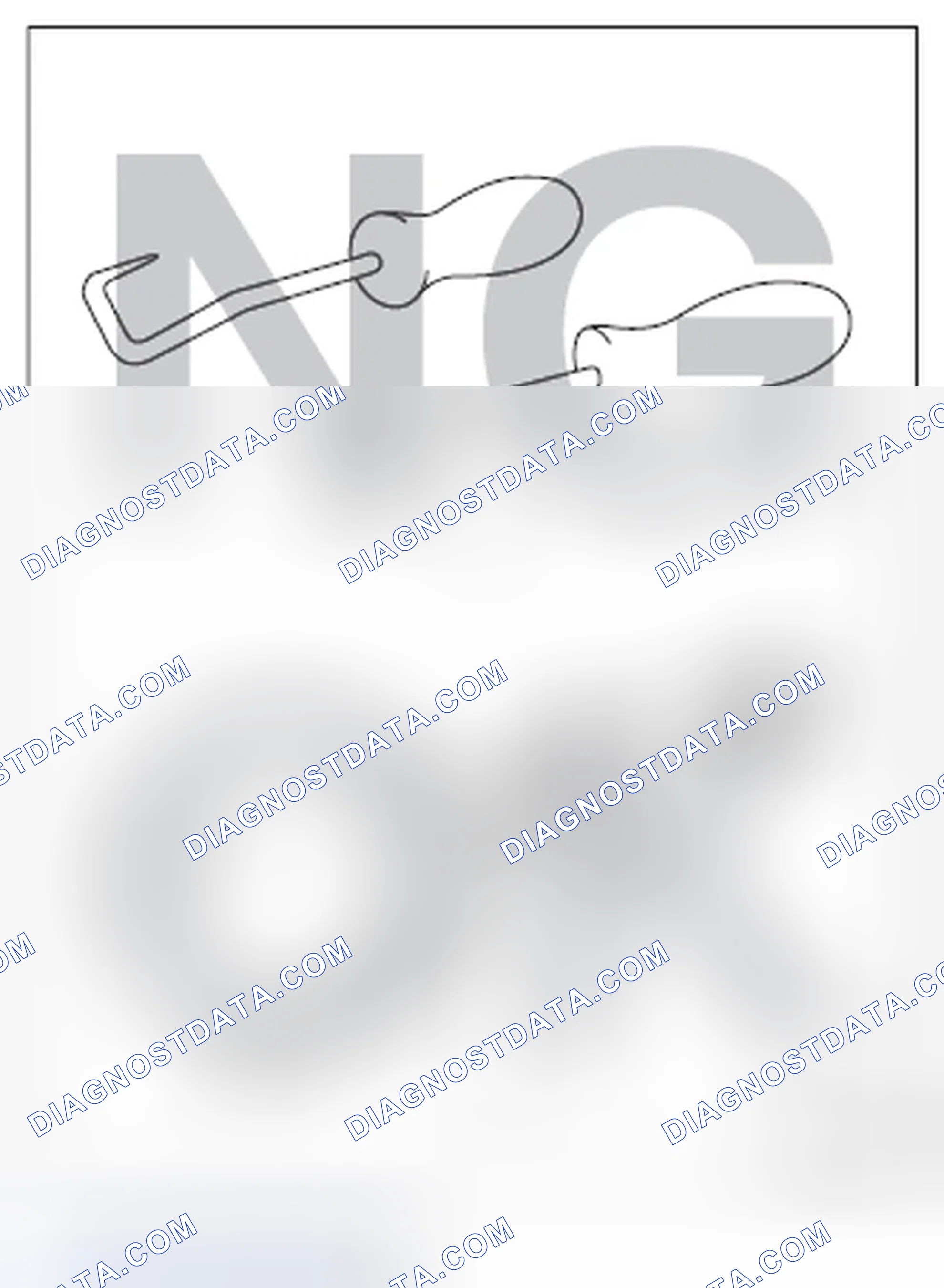 Scheme 27: REMOVAL AND INSTALLATION OPERATION OF HOSES, ETC.