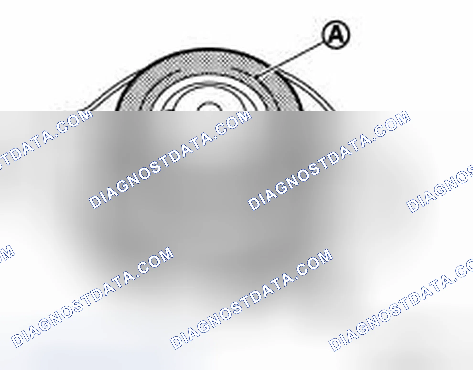 Scheme 32: RADIATOR CAP : Inspection