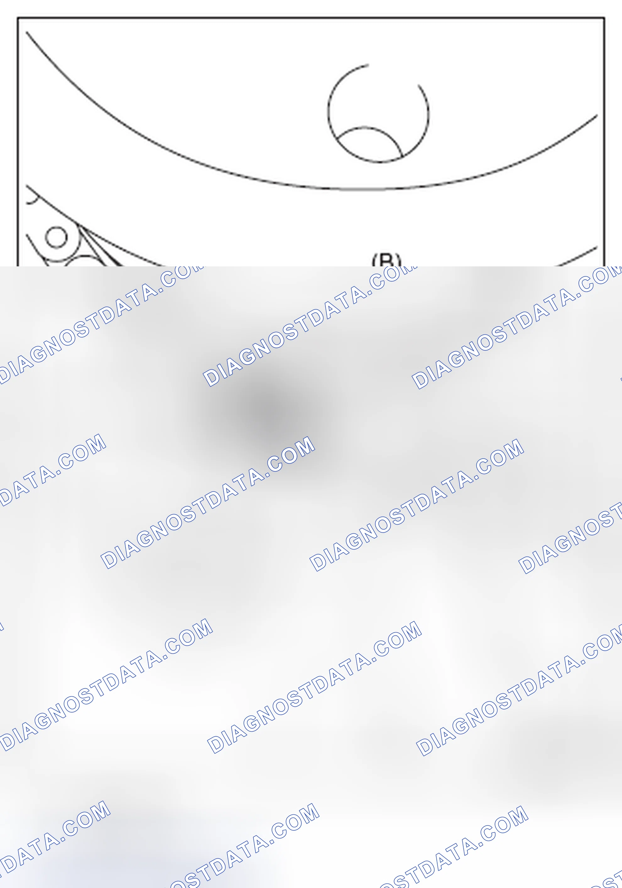 Scheme 570