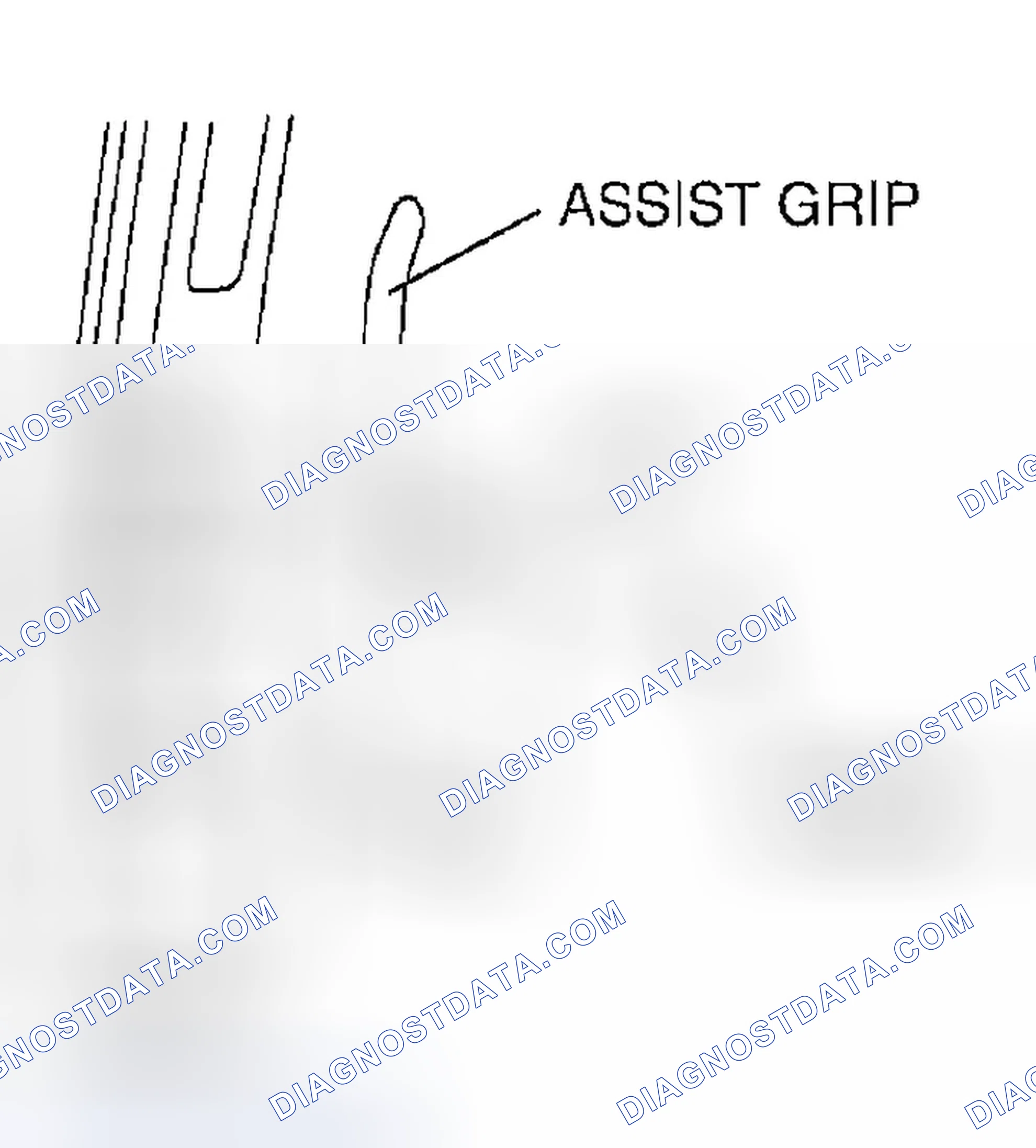 Scheme 40: ASSIST HANDLE REMOVAL/INSTALLATION