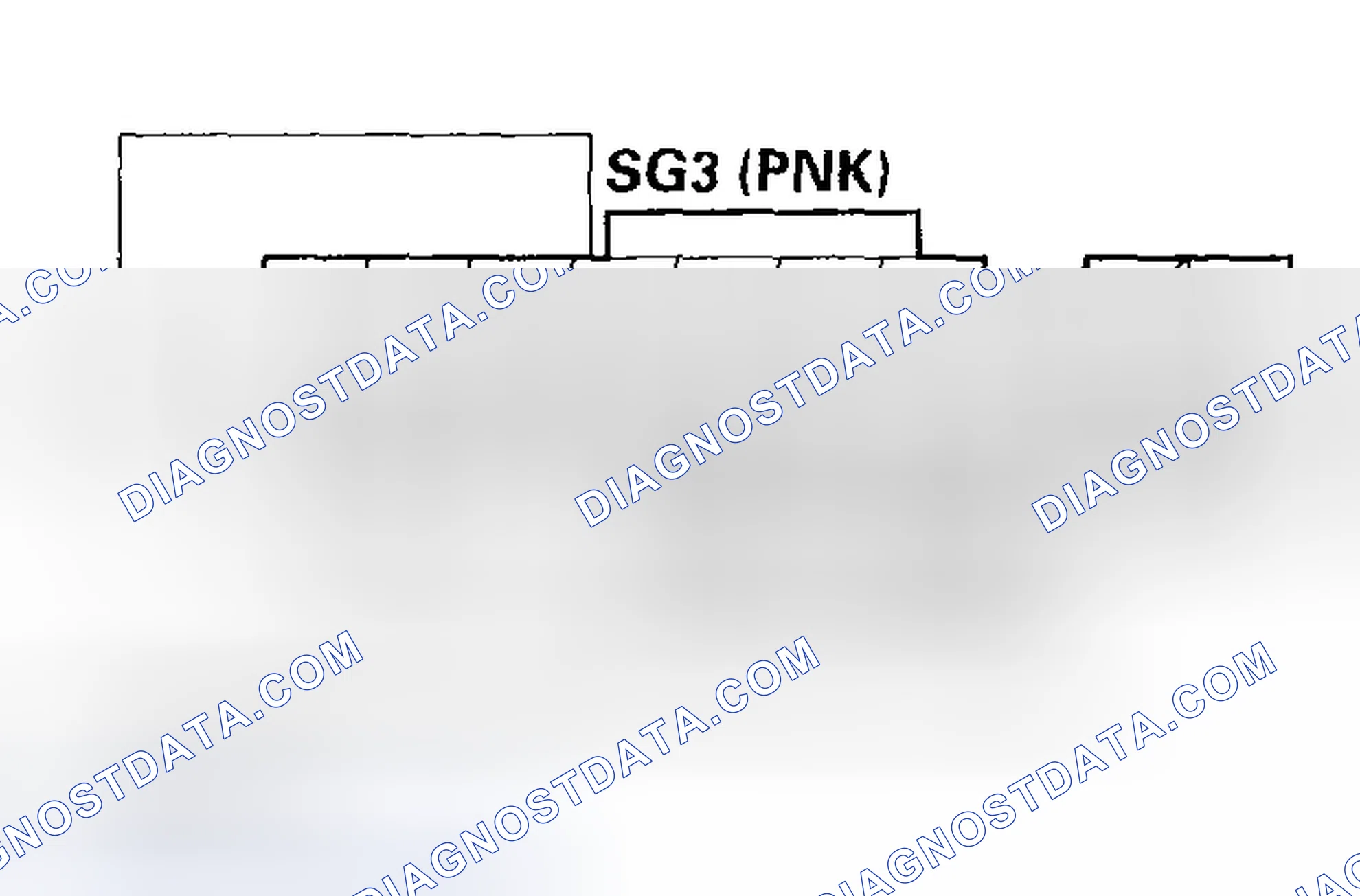 Scheme 43