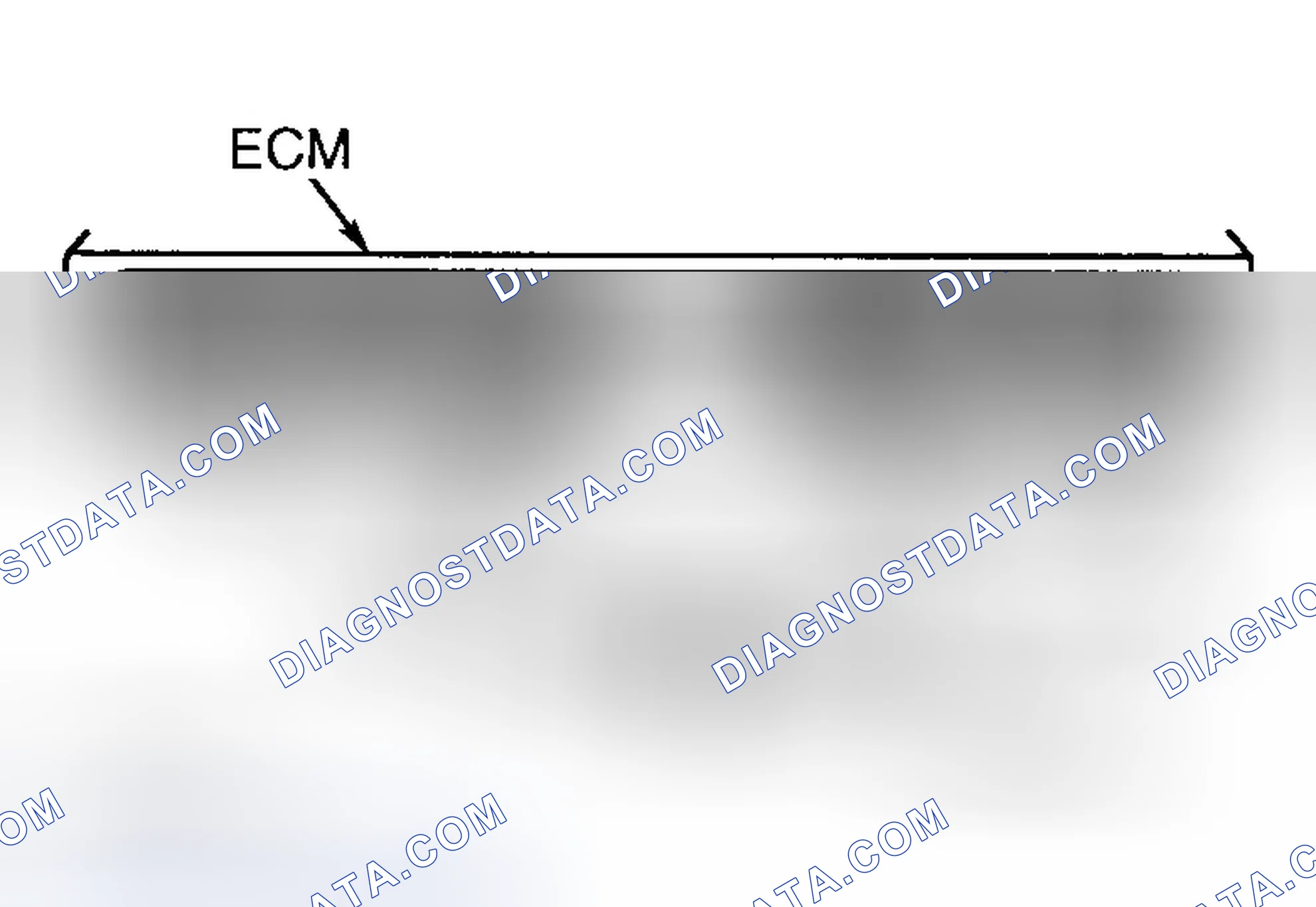 Scheme 358