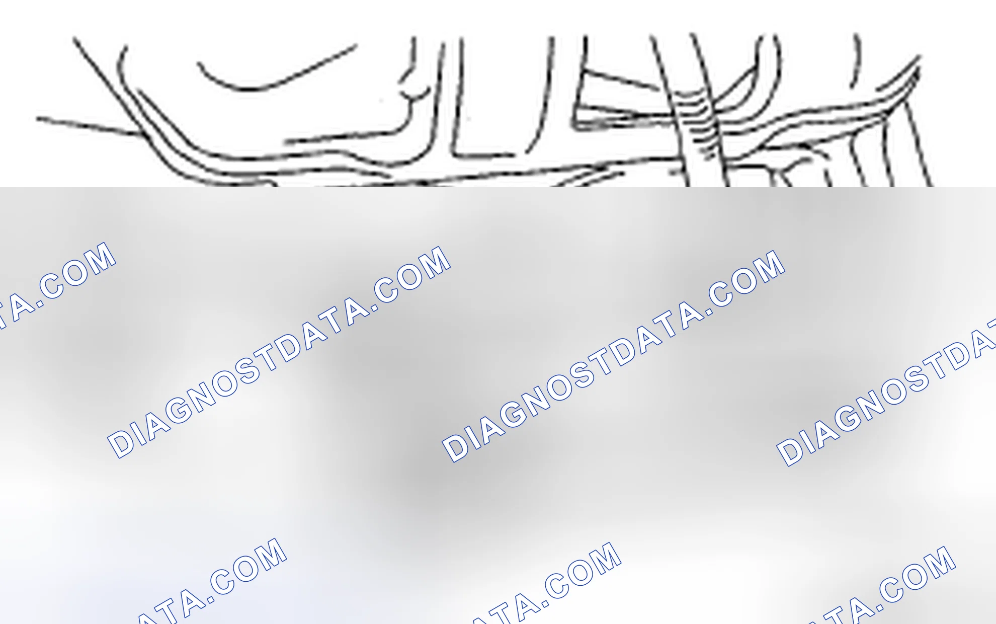 Scheme 19: Removing Spark Plug With Spark Plug Socket