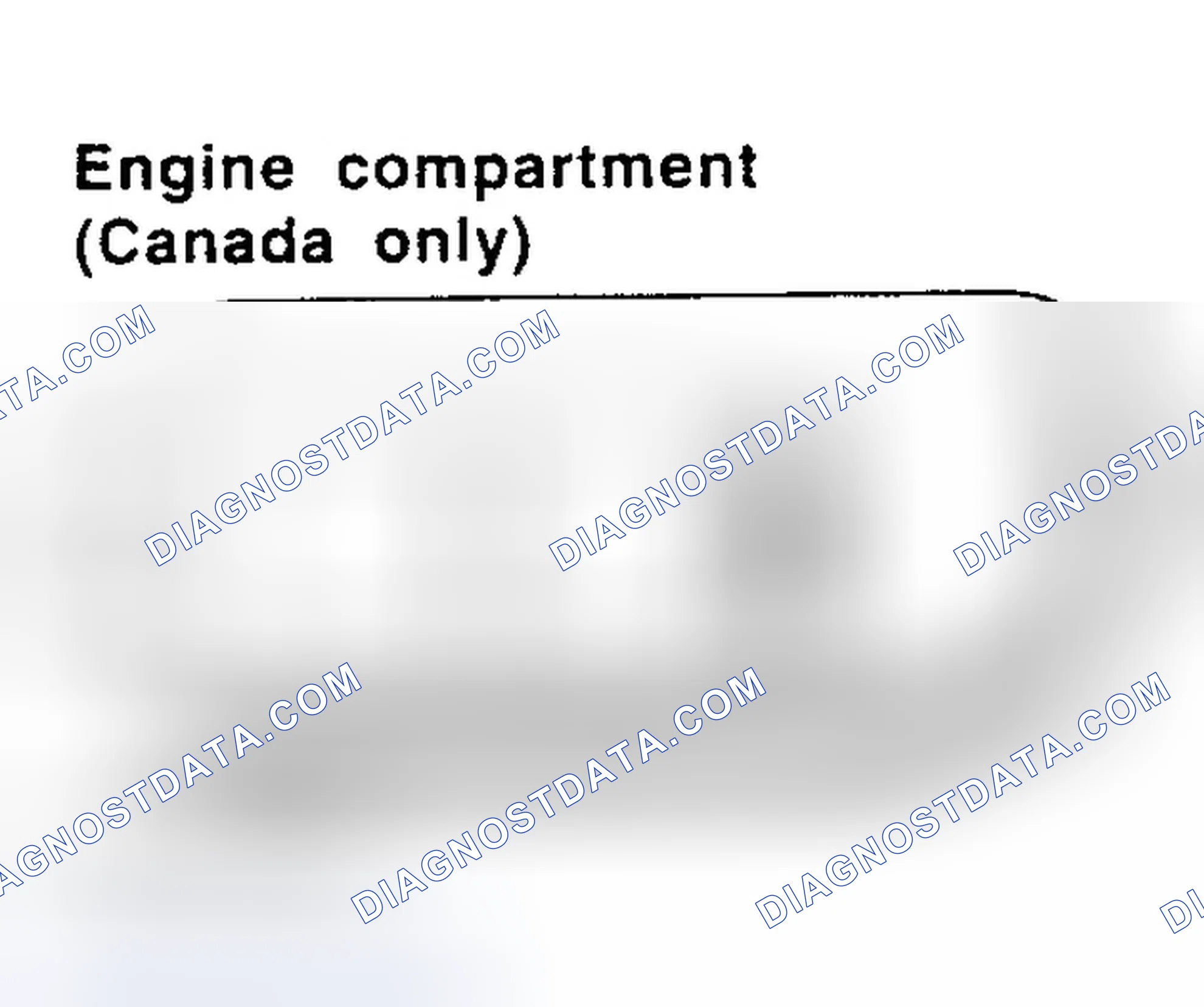 Scheme 5