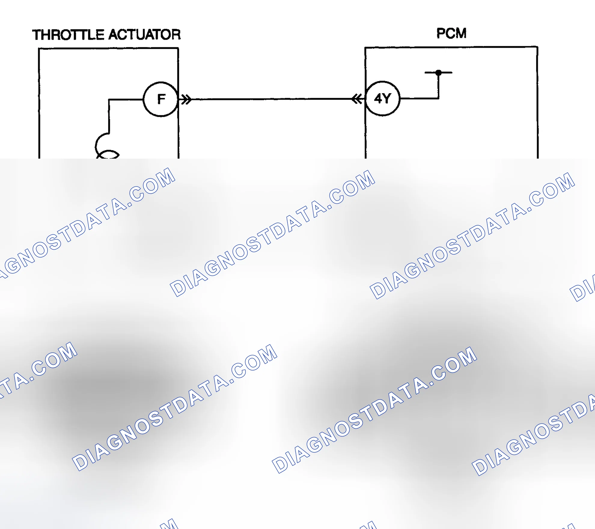 Scheme 43: Diagnostic Procedure