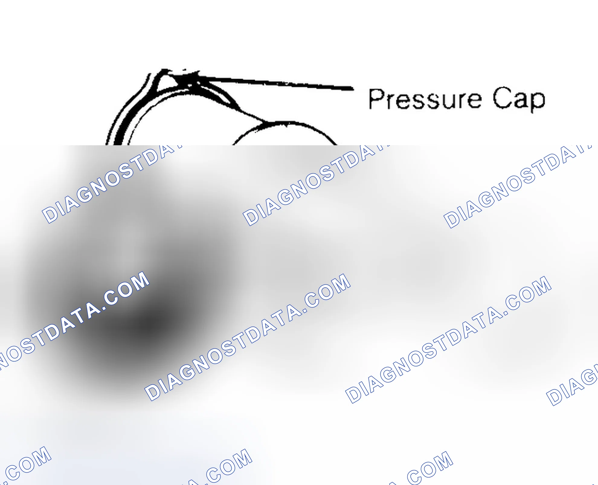 Scheme 2: Pressure Testing Radiator Cap