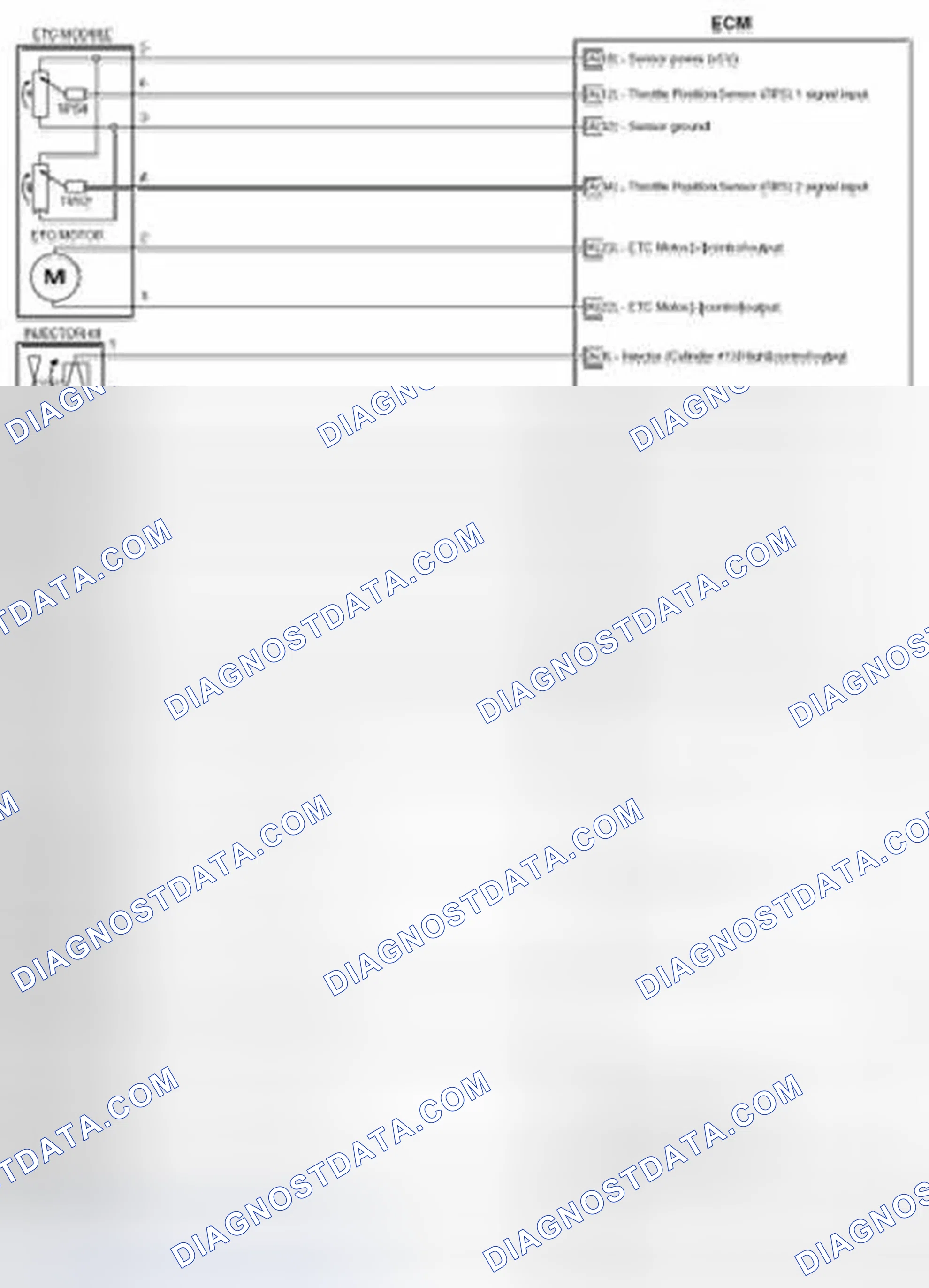 Scheme 146