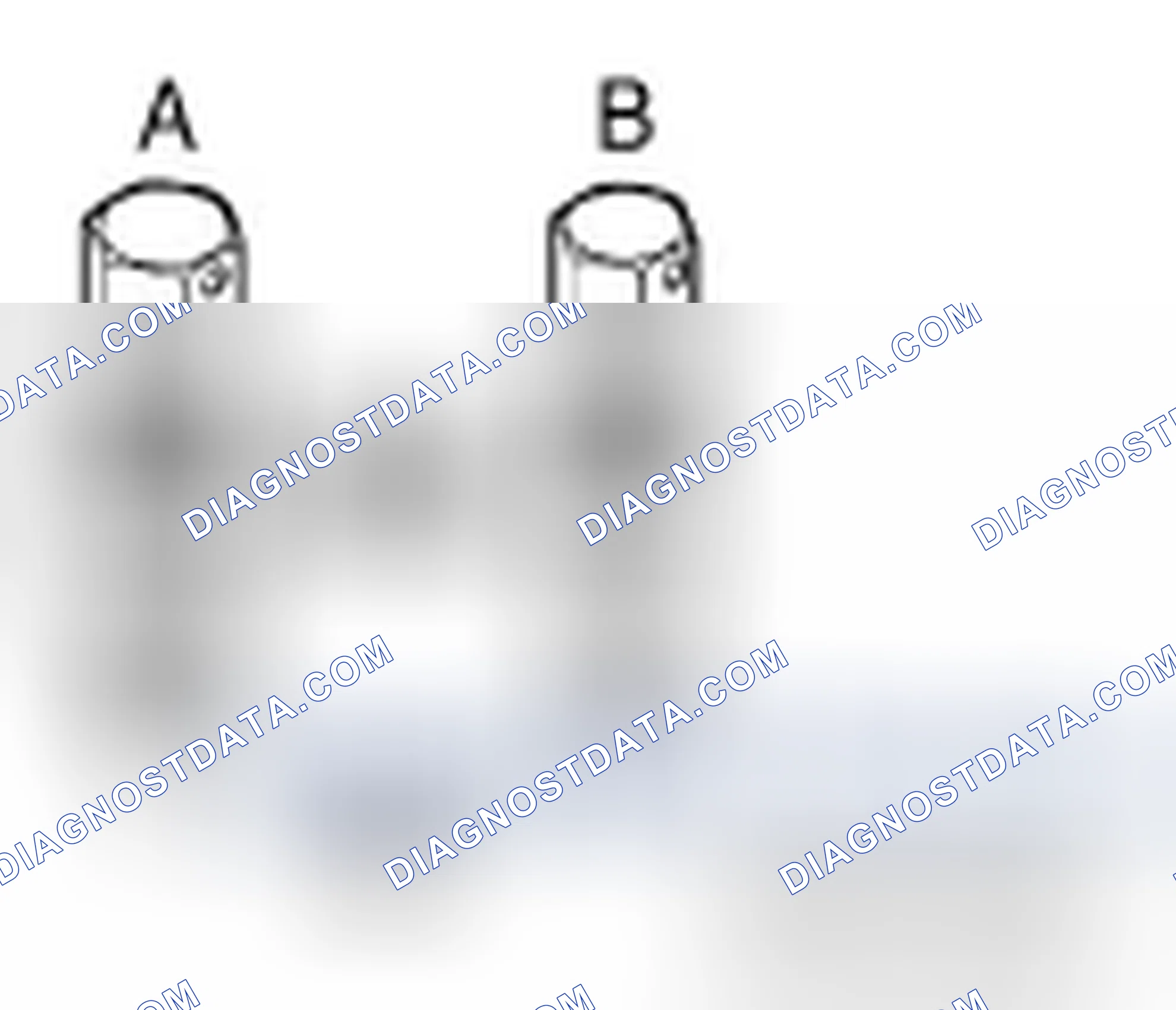 Scheme 215