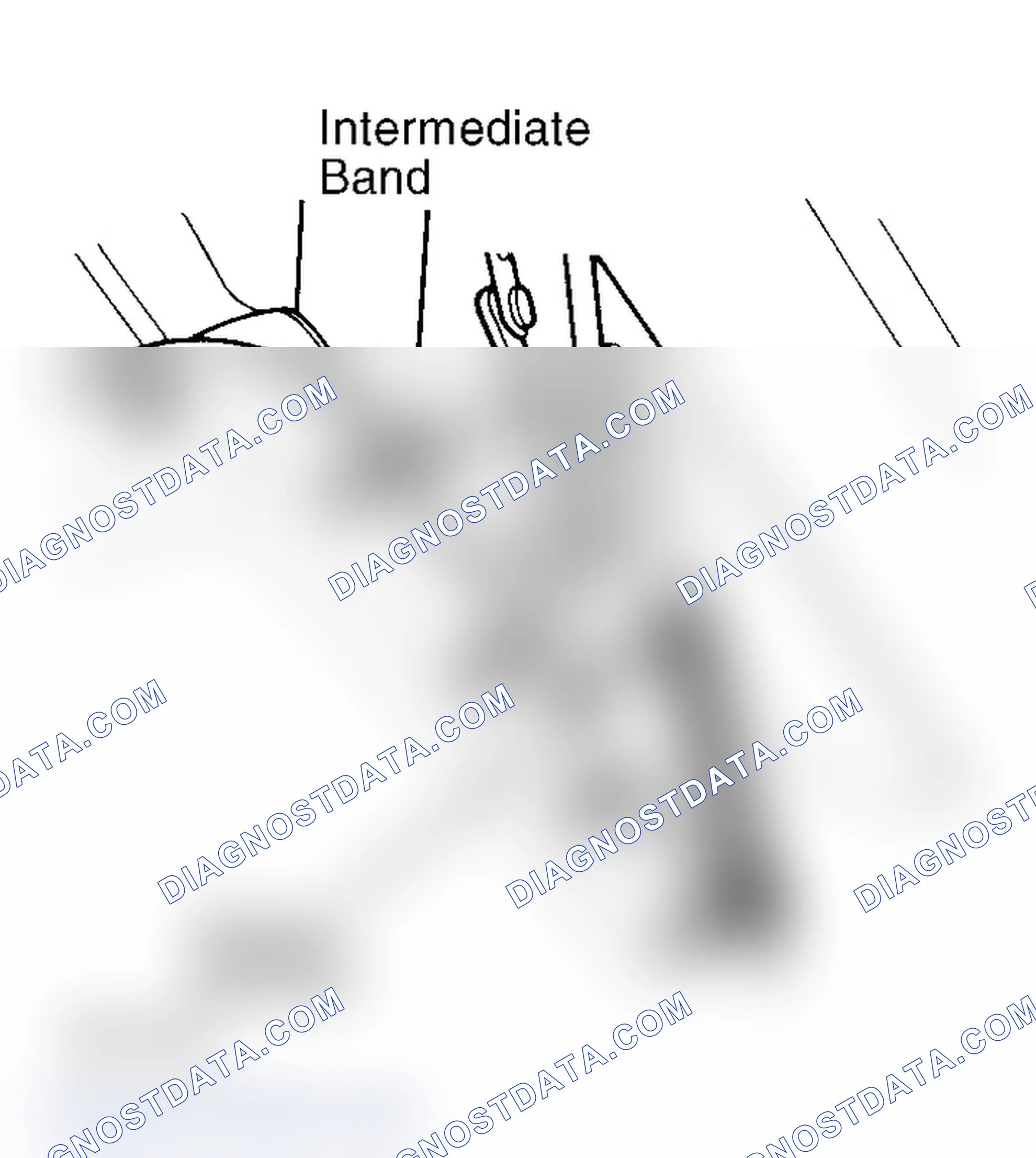 Scheme 163