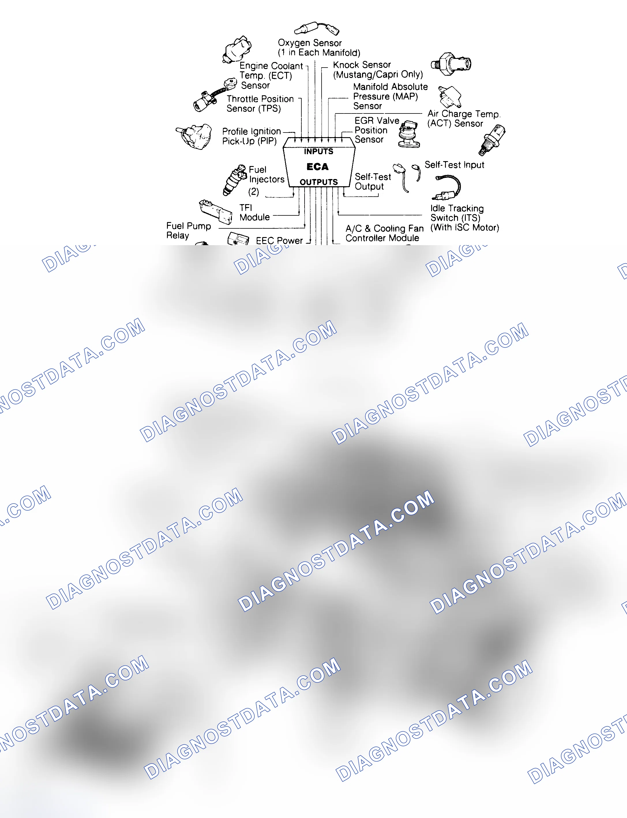 Scheme 101: 3.8L CFI EEC-IV Inputs/Outputs & Component Locations