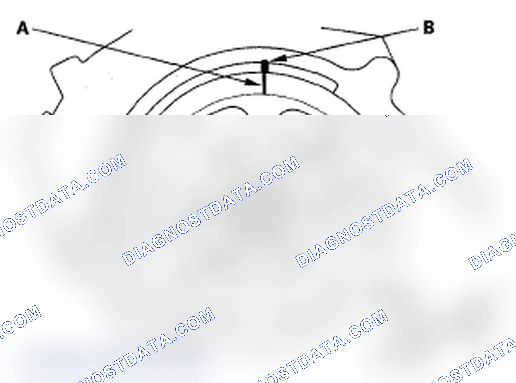 Scheme 172