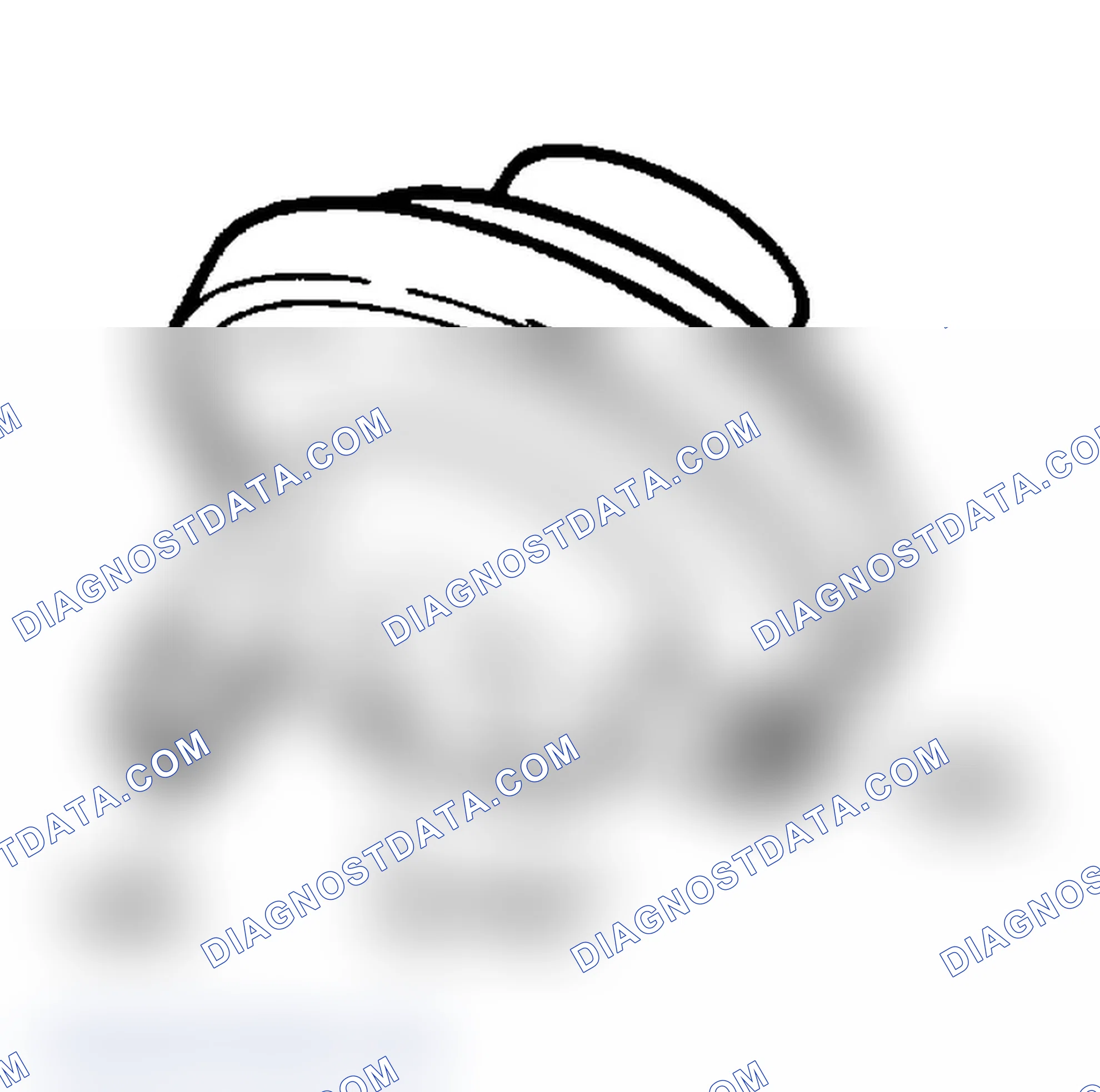 Scheme 208: Identifying Thermactor Idle Vacuum (TIV) Valve