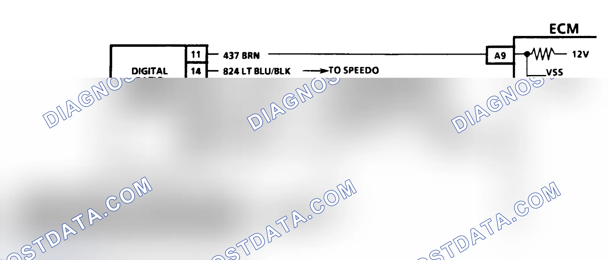 Scheme 287: CODE 24, VEHICLE SPEED SENSOR - 1991 DIESEL